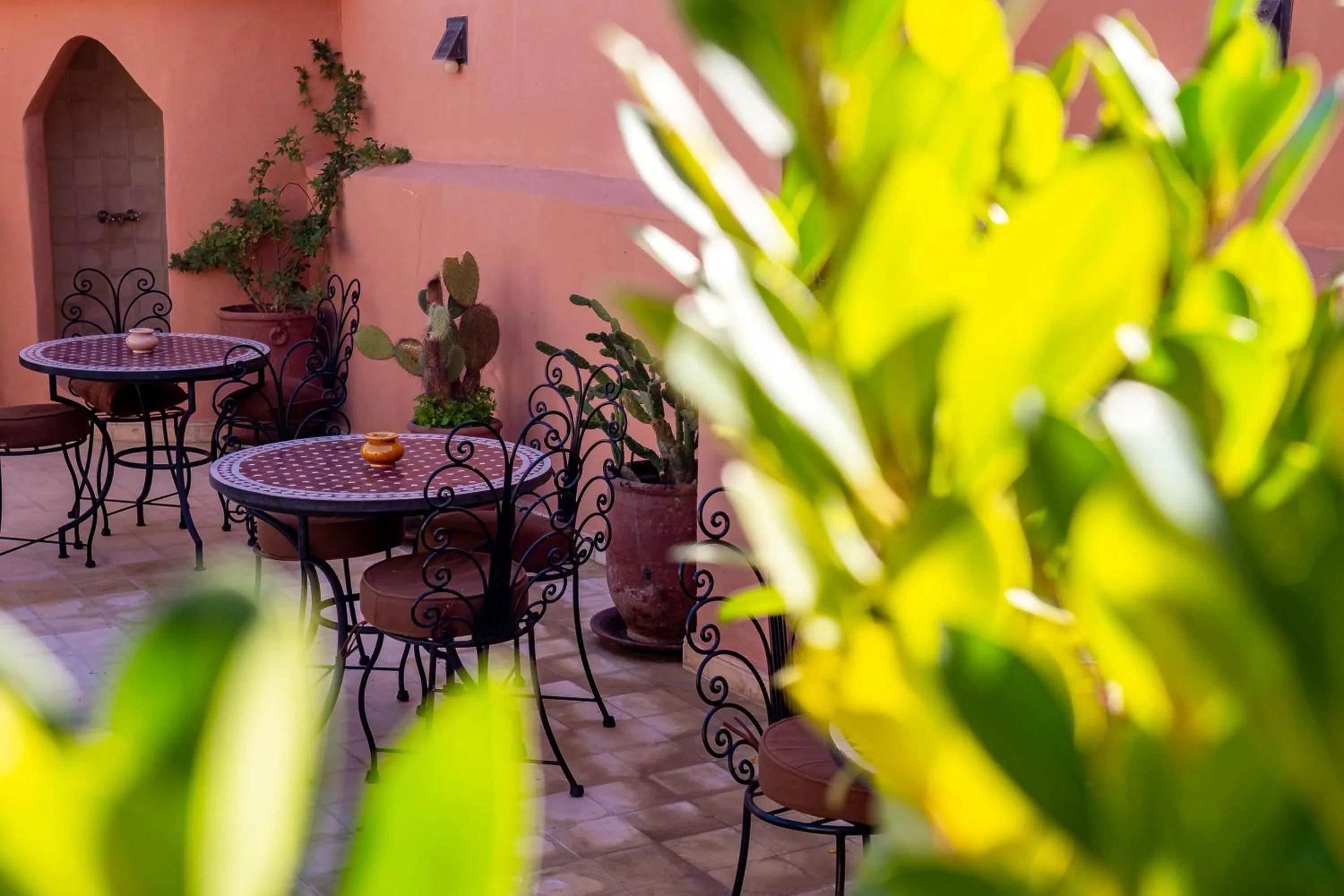 Patio in RIAD LA GAZELLE DU SUD