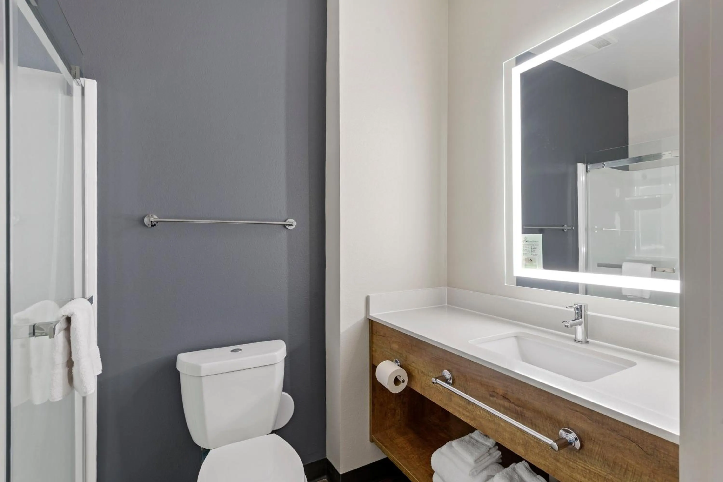 Bathroom in Extended Stay America Premier Suites - Savannah - Pooler