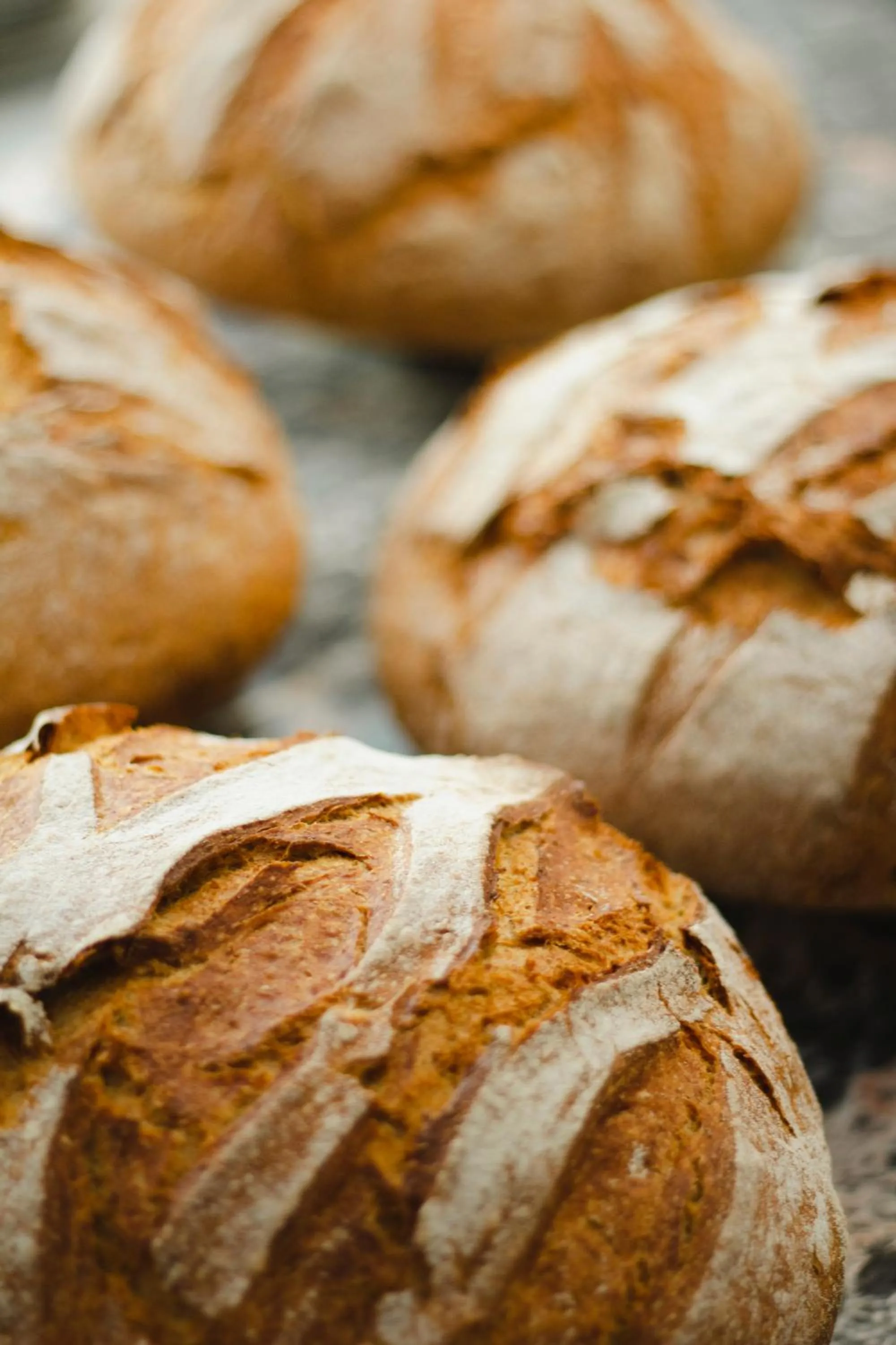 Restaurant/places to eat in Kai 36 - Hotel zwischen Fels und Fluss