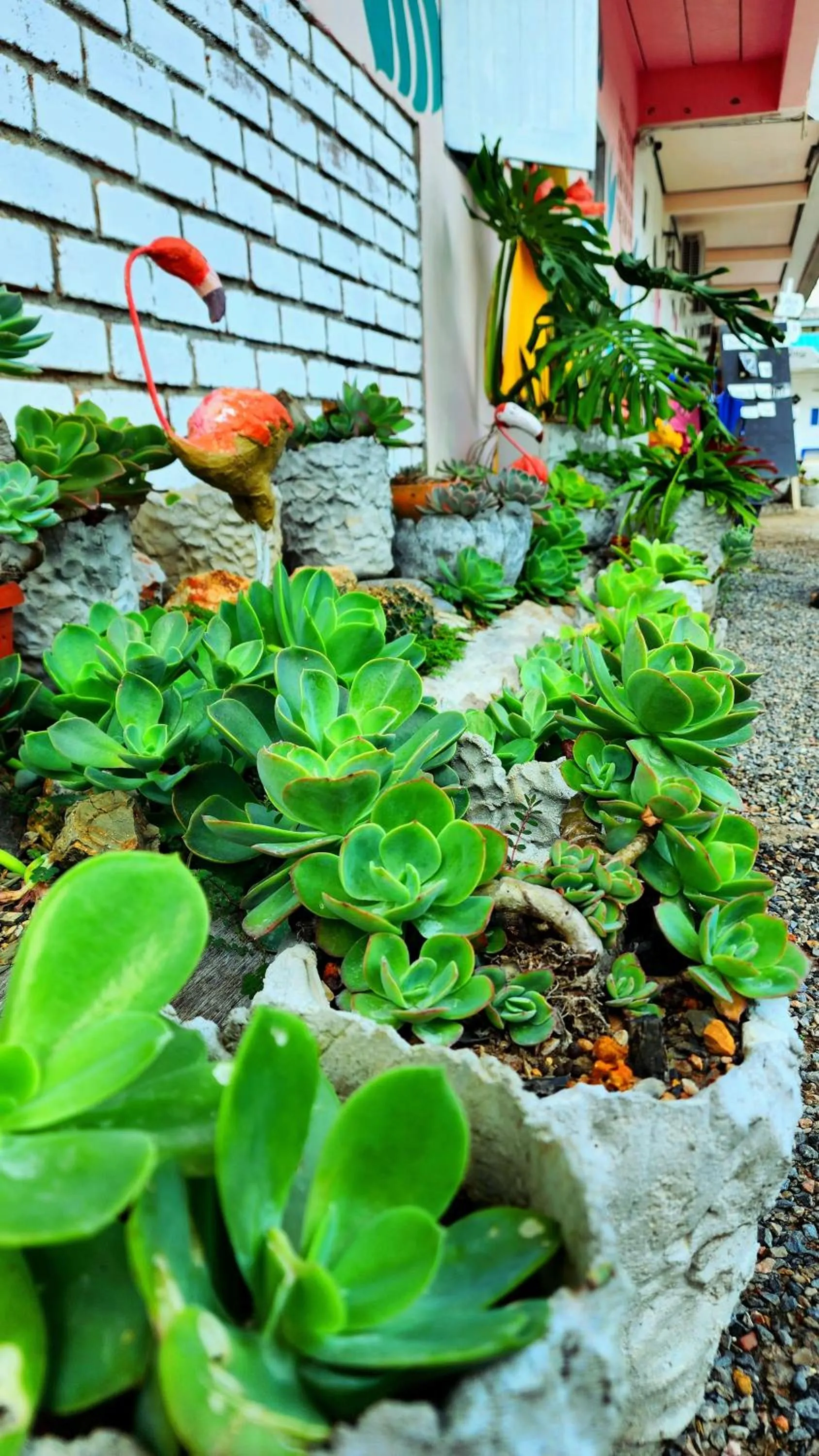 Day in Ingpha Room For Rent