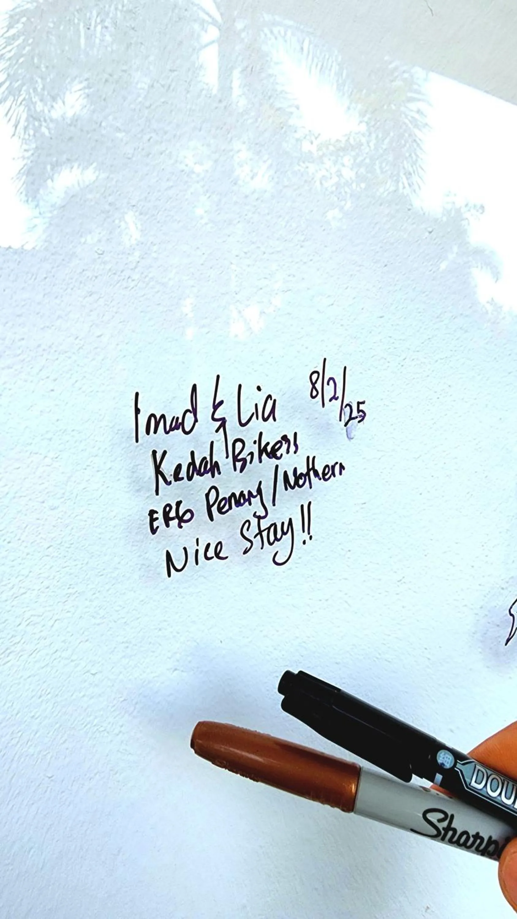 Activities in Ingpha Room For Rent