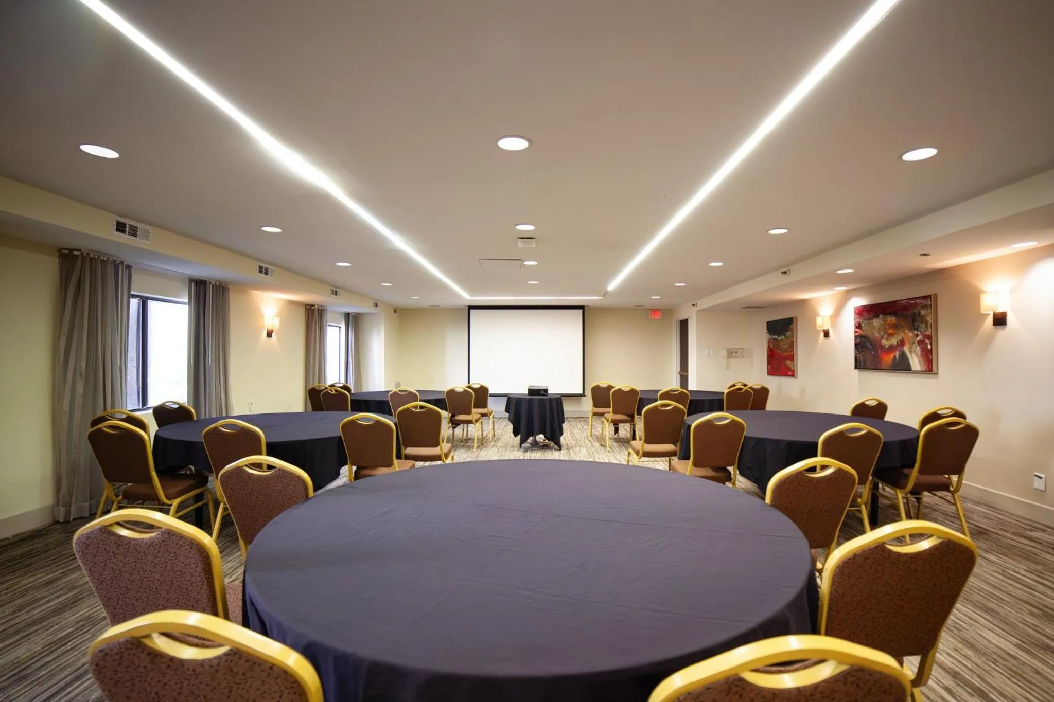 Meeting/conference room in Holiday Inn Irving Las Colinas by IHG