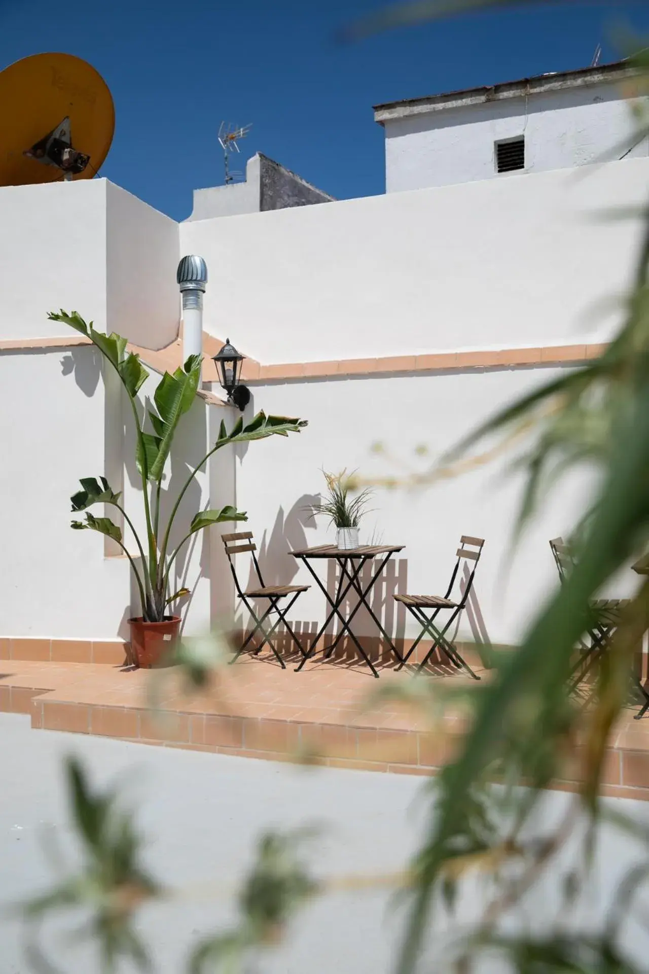 Planeta Cadiz Hostel Planeta Cadiz Hostel