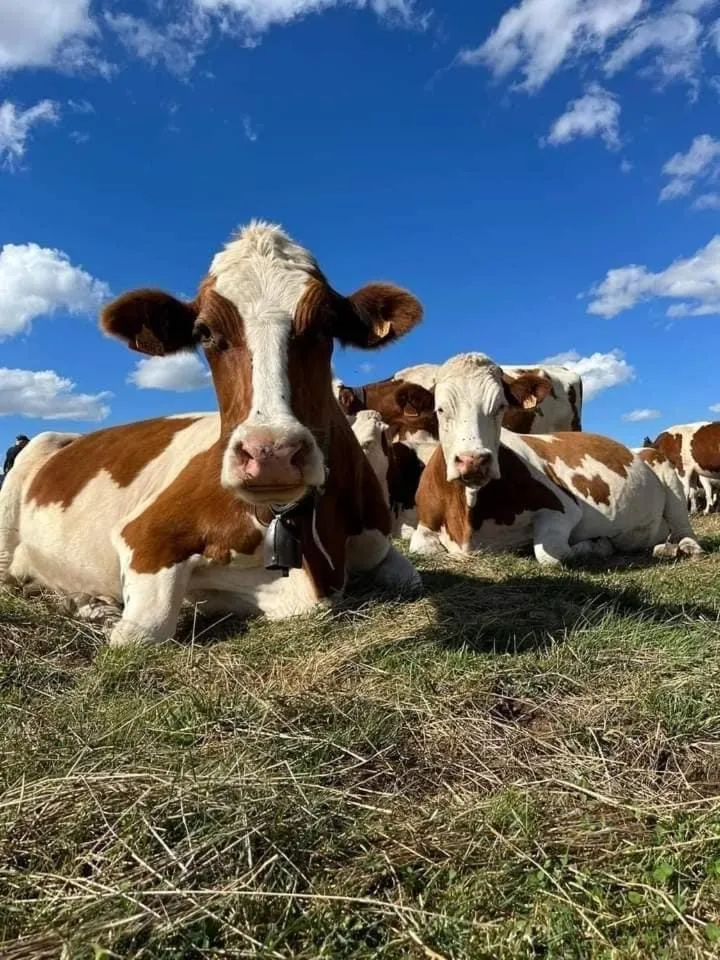 Hiking in La Maison du Chevalier - Chambres et tables d'hôtes - adults only