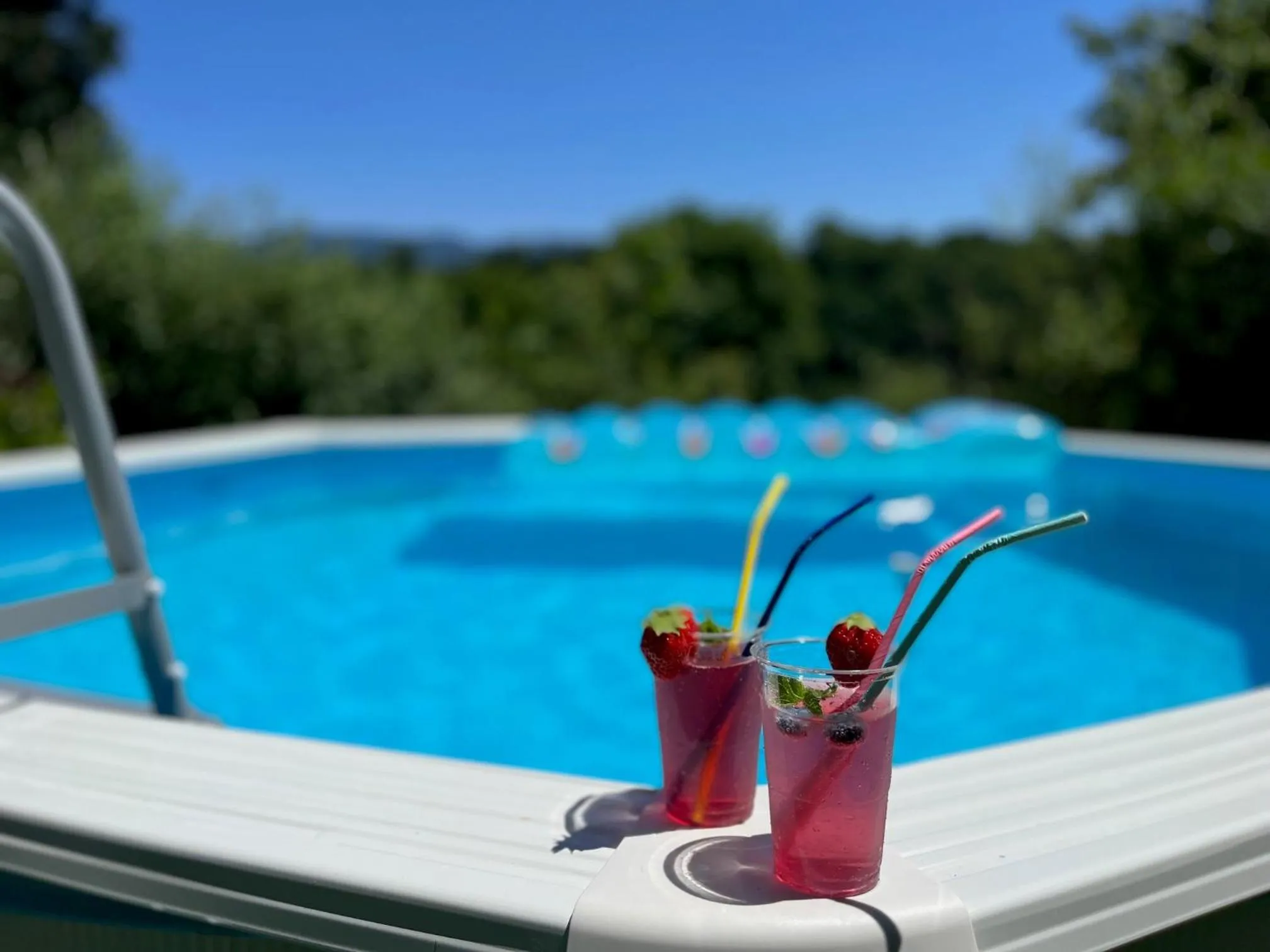 Pool view in La Maison du Chevalier - Chambres et tables d'hôtes - adults only