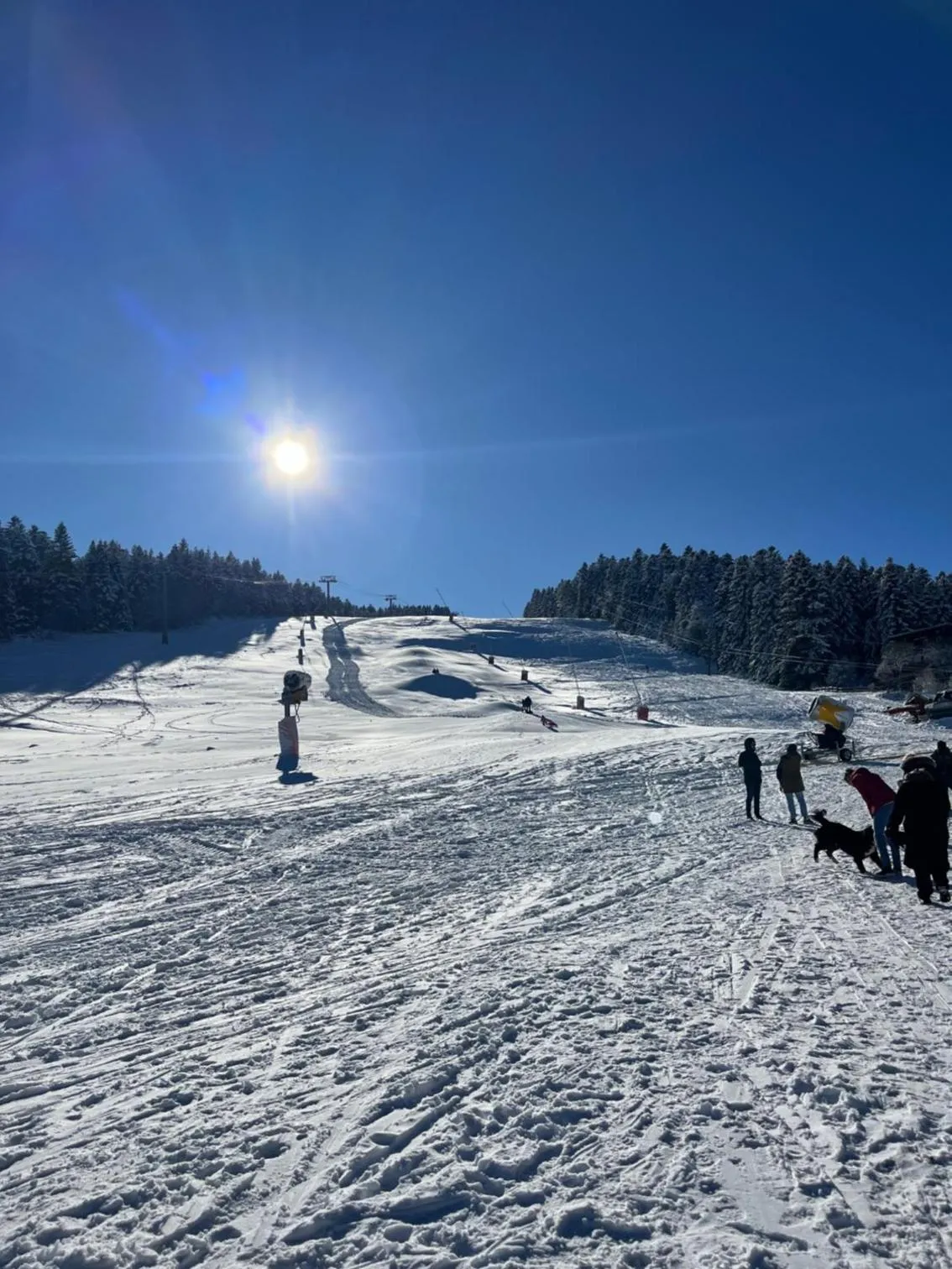 Ski School in La Maison du Chevalier - Chambres et tables d'hôtes - adults only