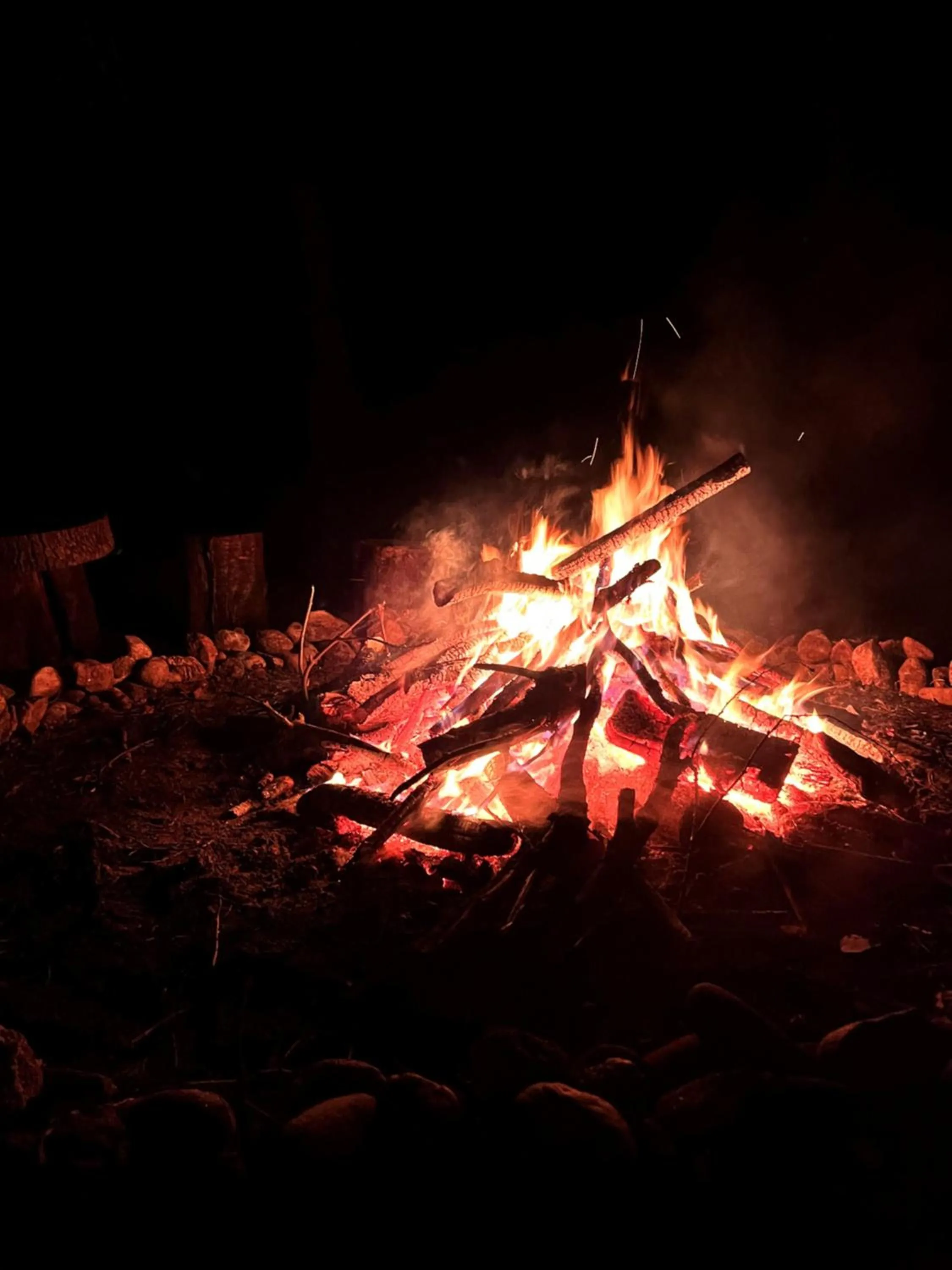 Garden in La Maison du Chevalier - Chambres et tables d'hôtes - adults only
