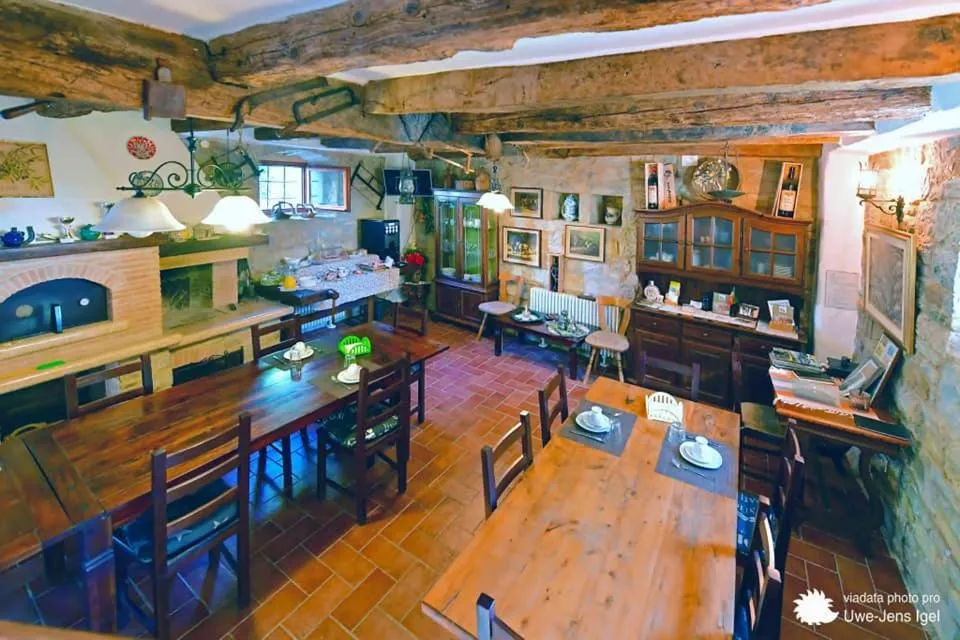 al Merlo Olivo, rural istrian house
