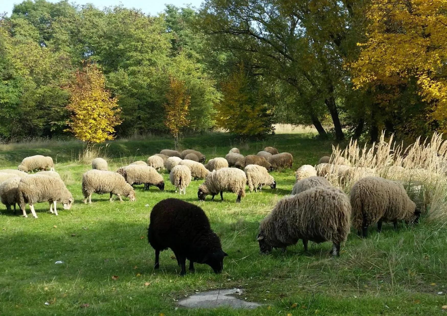 Off site in Gut am See