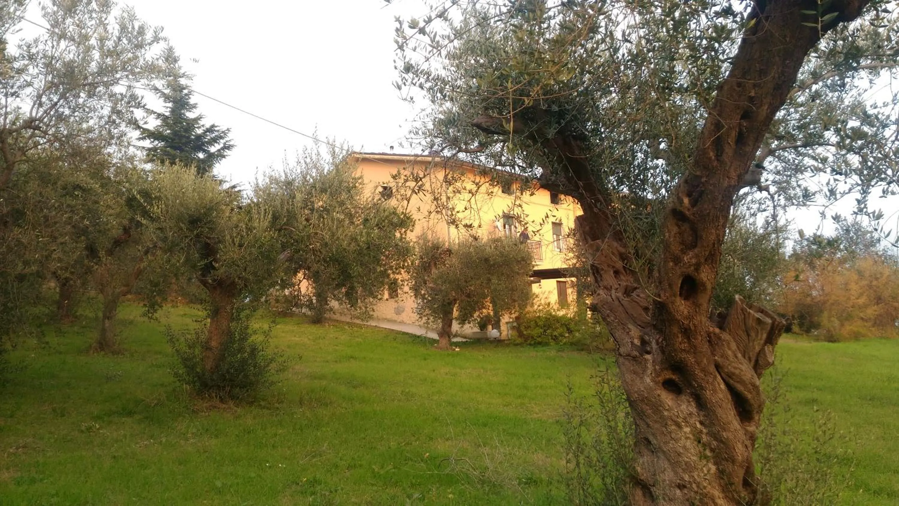 La Casa delle Storie