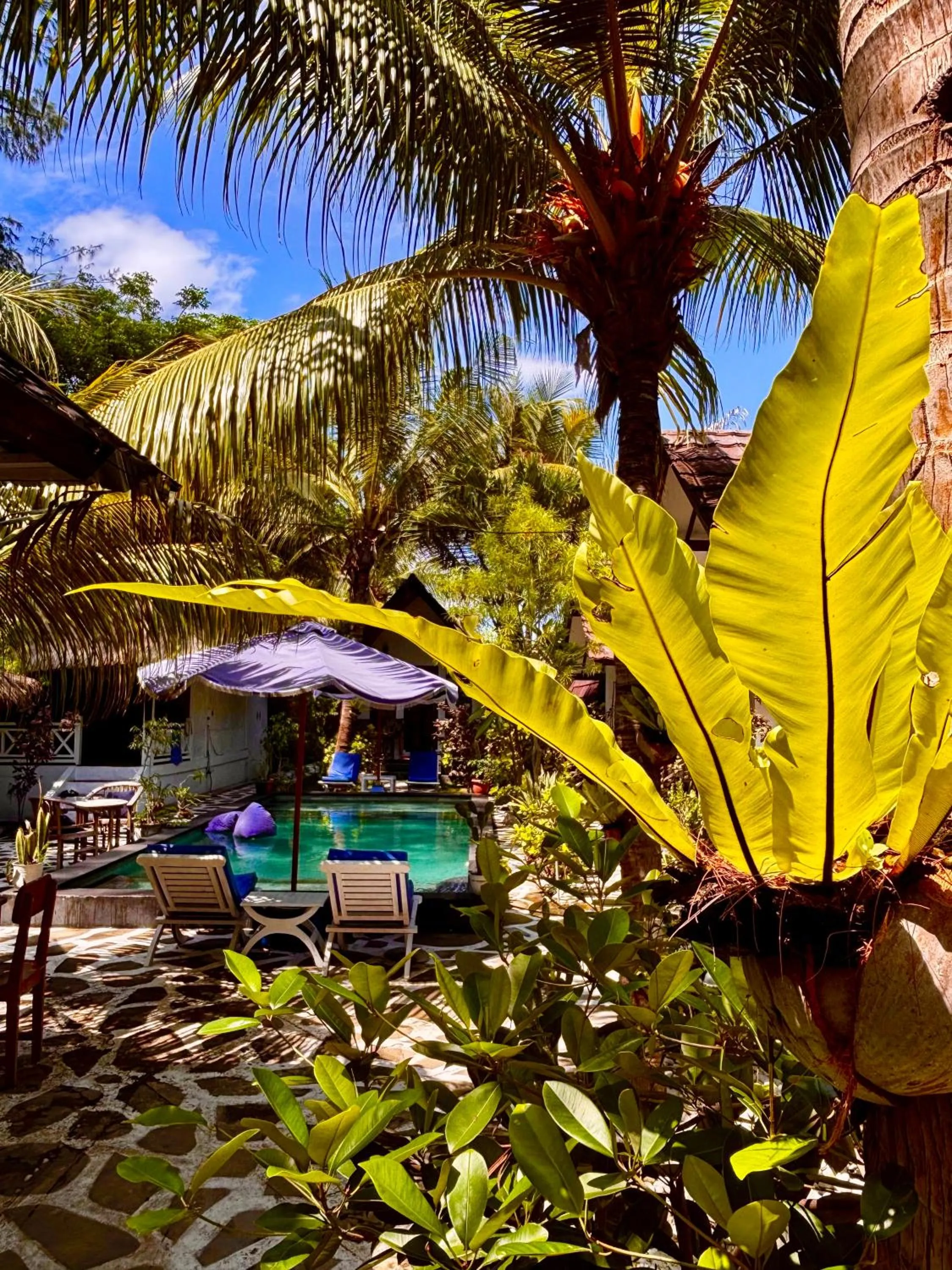 Swimming pool in Alibaba Bungalows