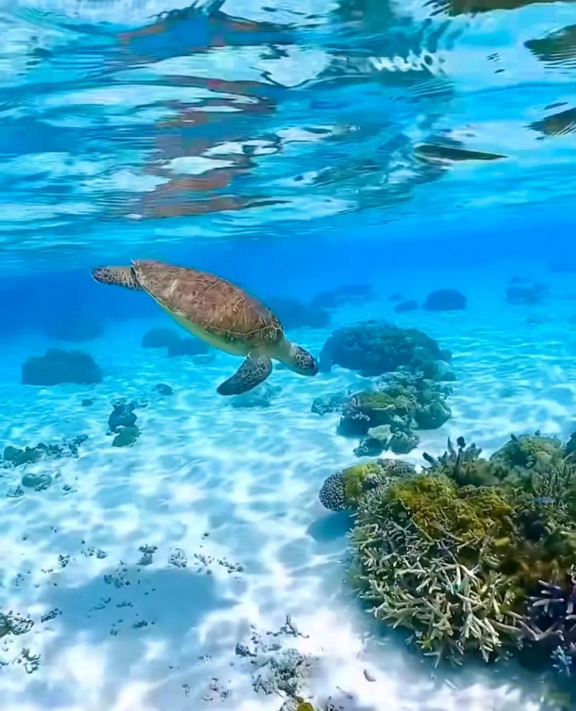 Sea view in Alibaba Bungalows