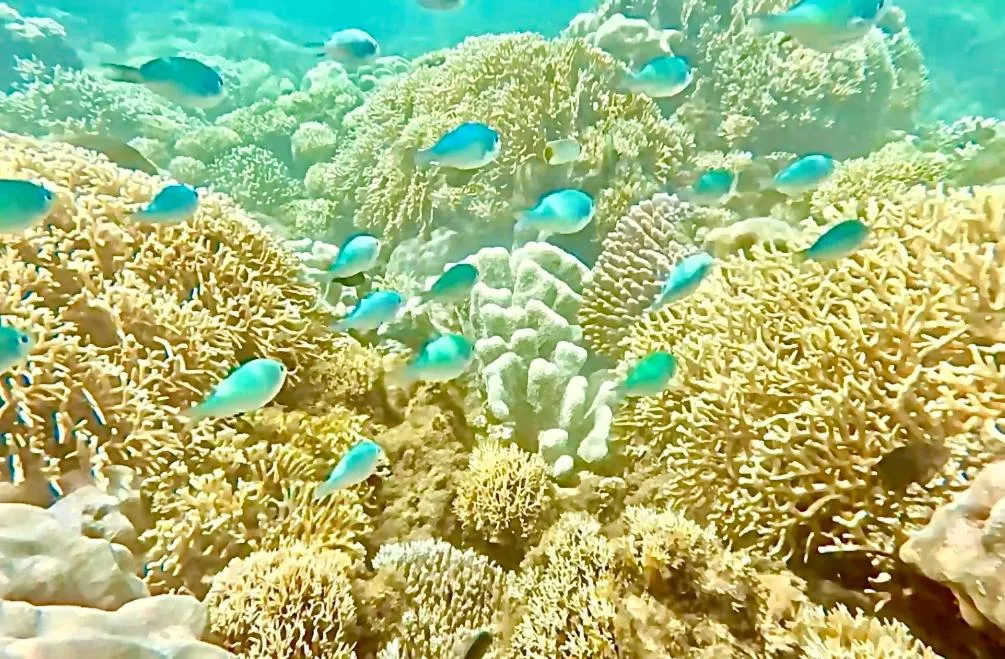 Sea view in Alibaba Bungalows