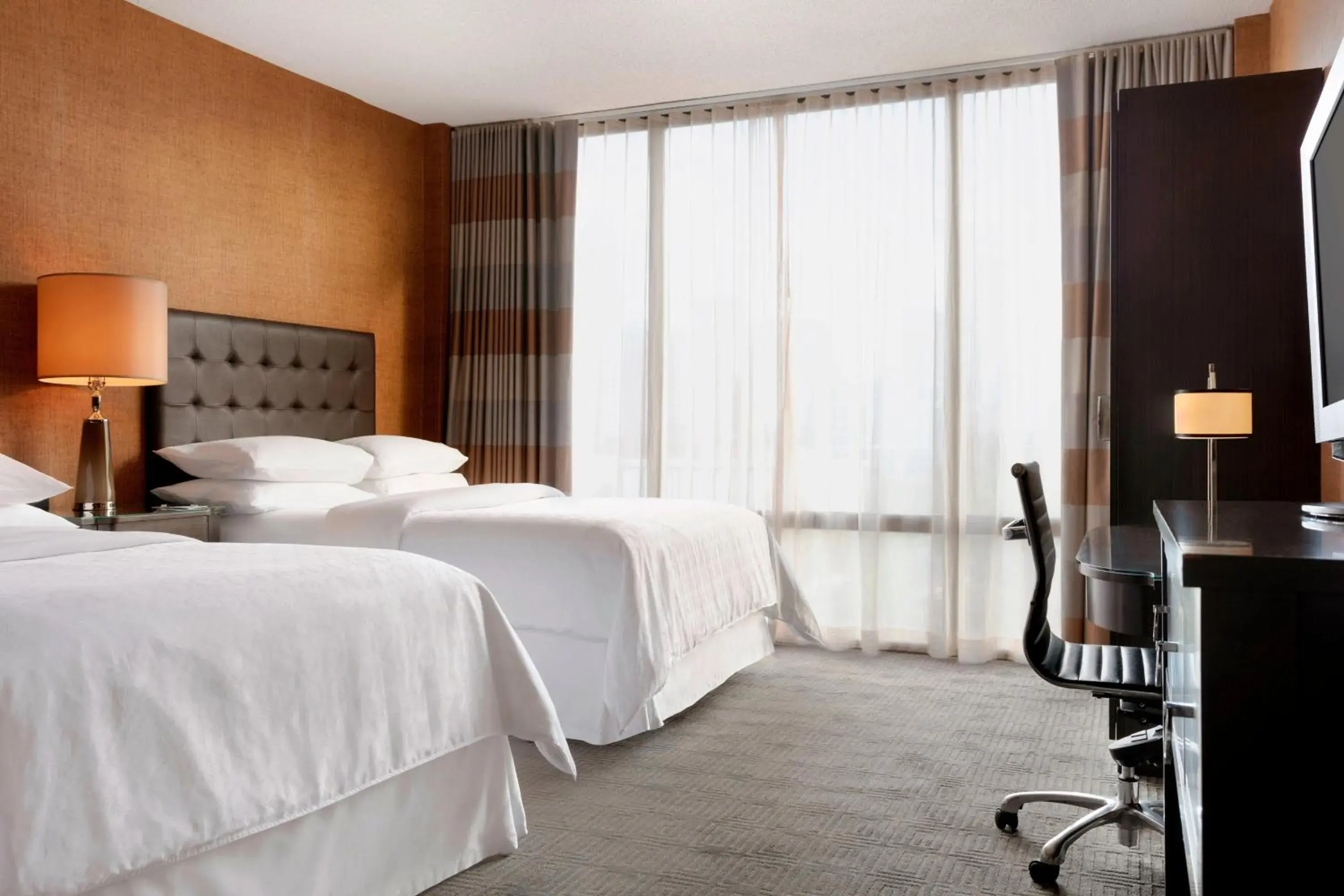 Club level, Guest room, 2 Double in Sheraton Charlotte Hotel Club level, Guest room, 2 Double in Sheraton Charlotte Hotel