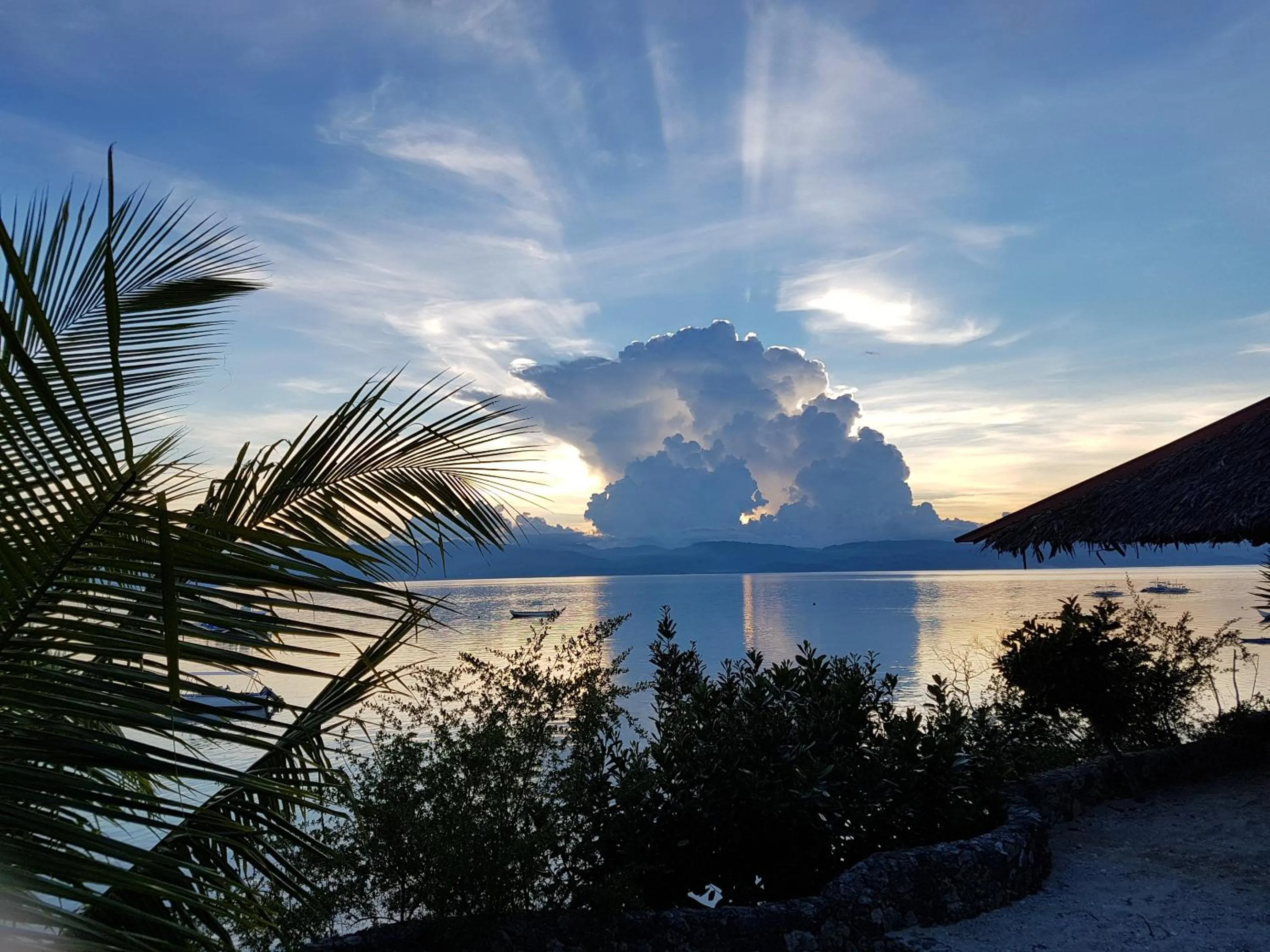 Sea view in Dolphin House Resort Moalboal
