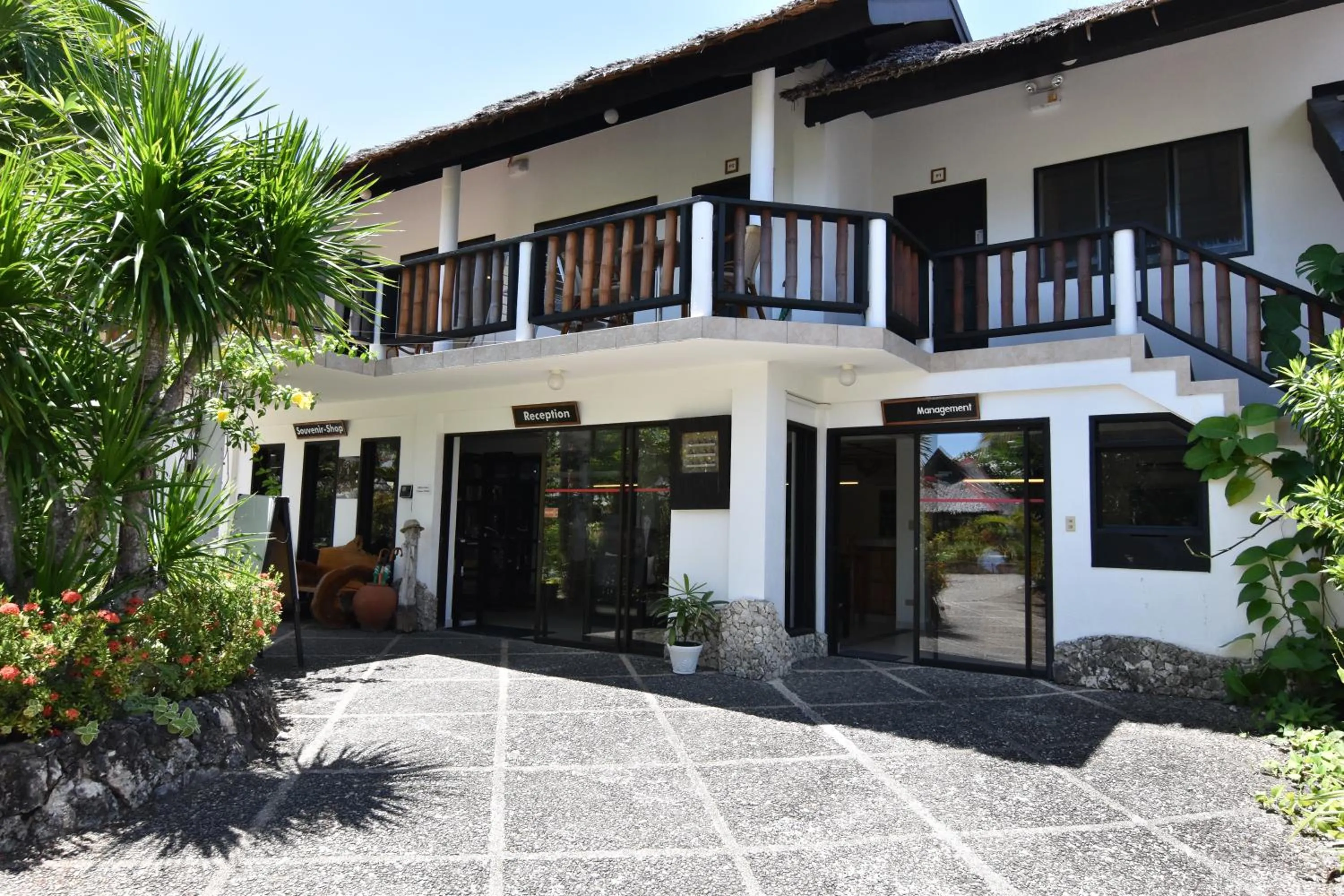 View (from property/room) in Dolphin House Resort Moalboal