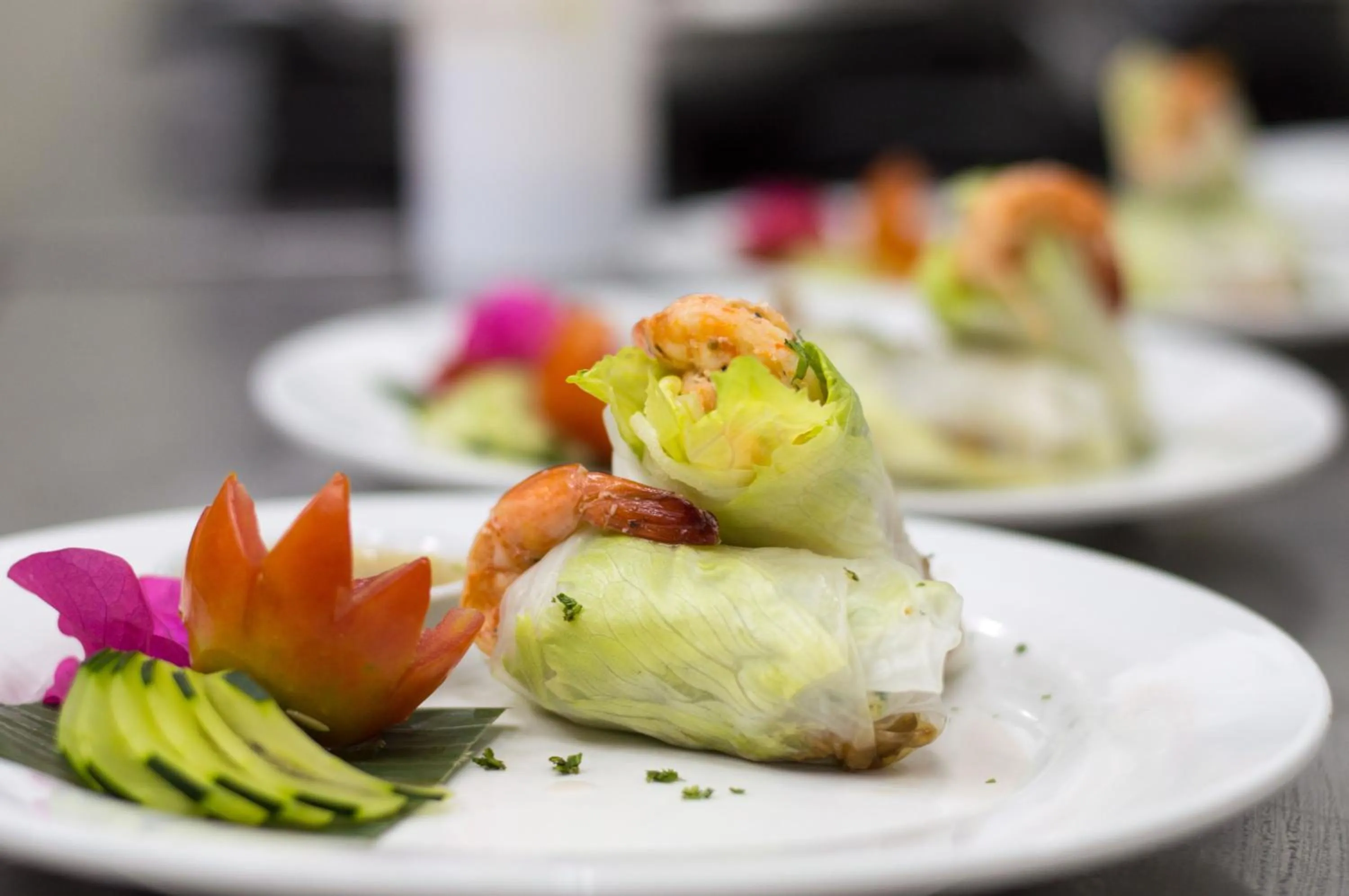 Food and drinks in Dolphin House Resort Moalboal