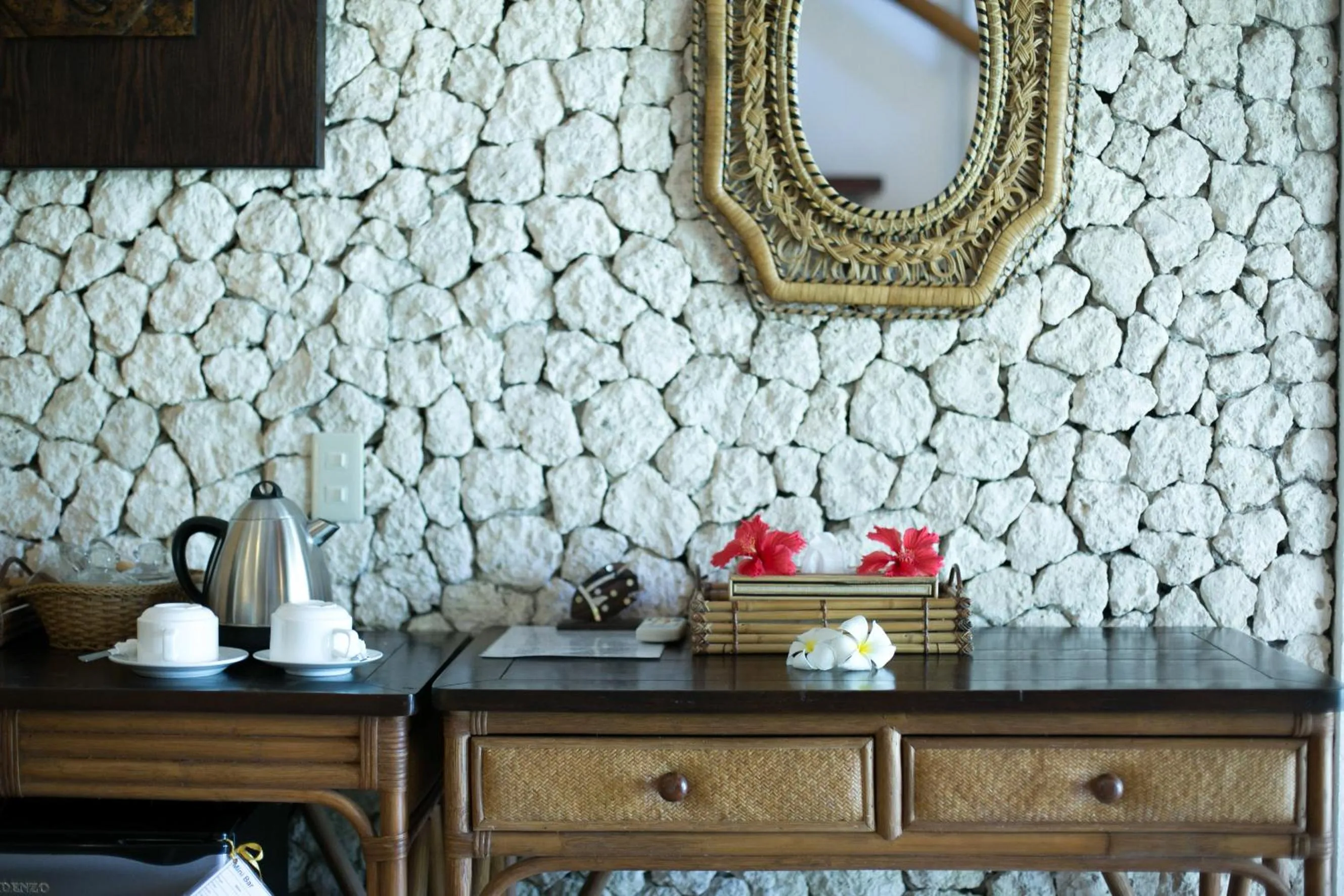 Dolphin House Resort Moalboal