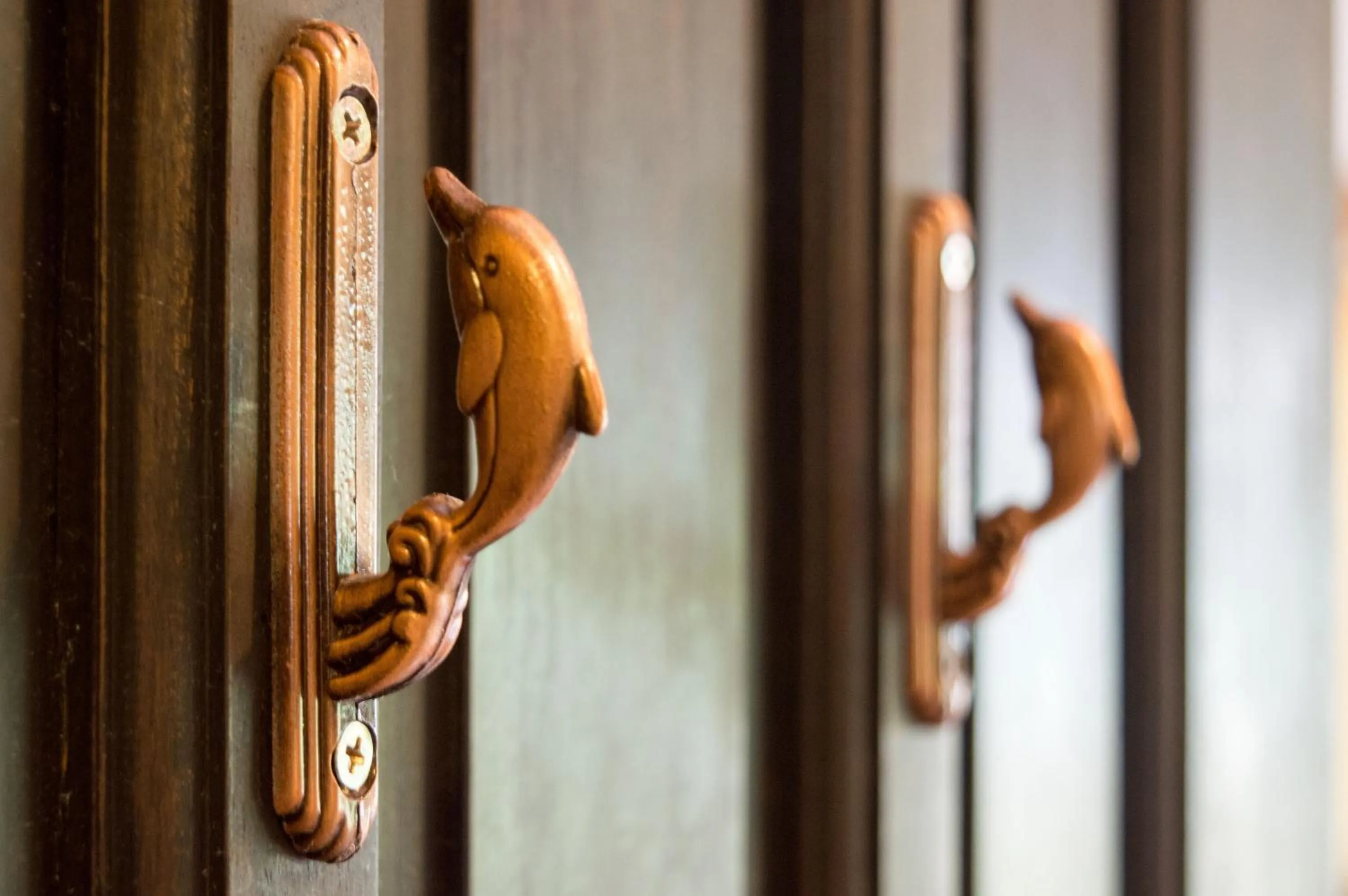 Other in Dolphin House Resort Moalboal