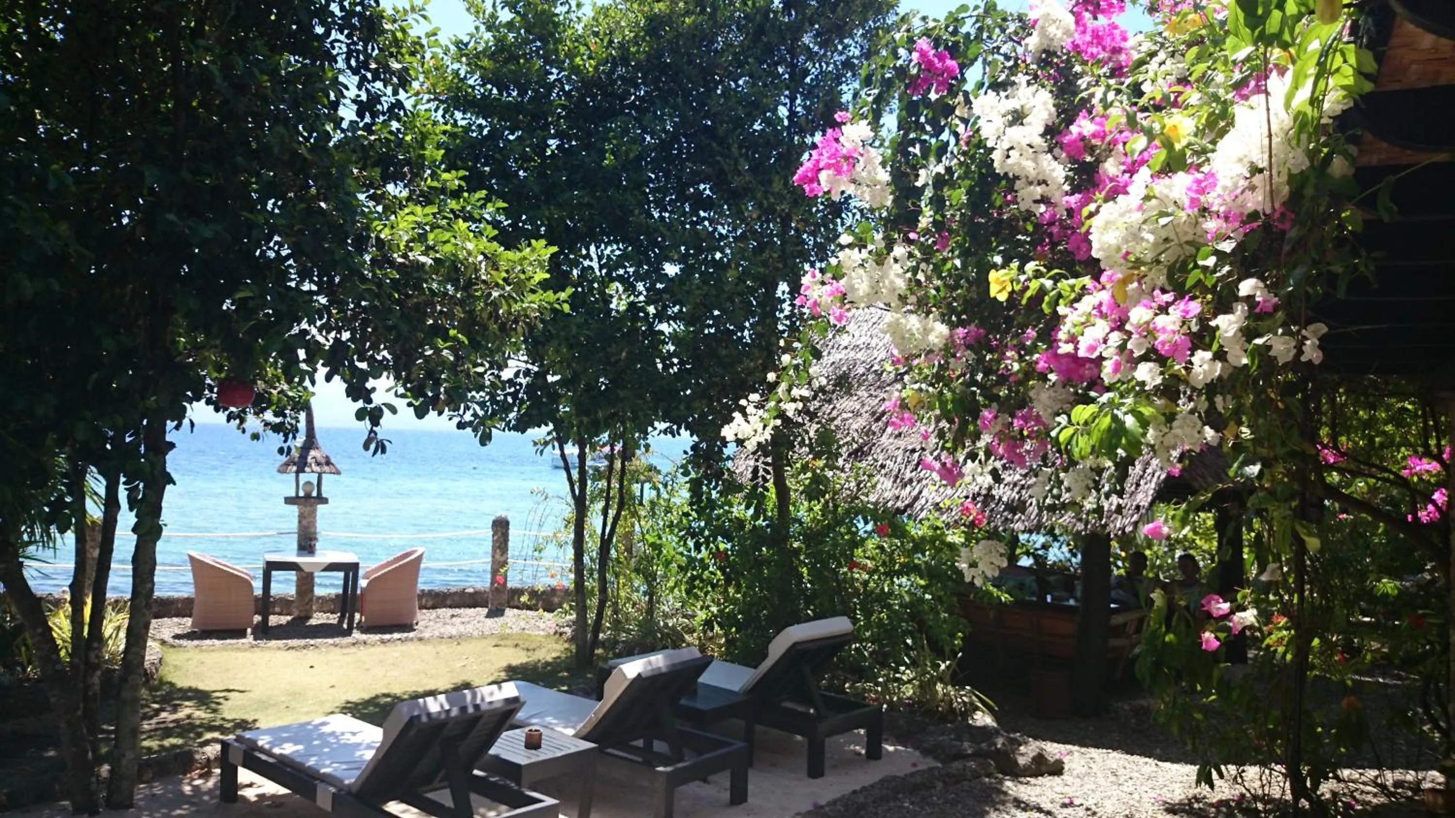 Garden in Dolphin House Resort Moalboal