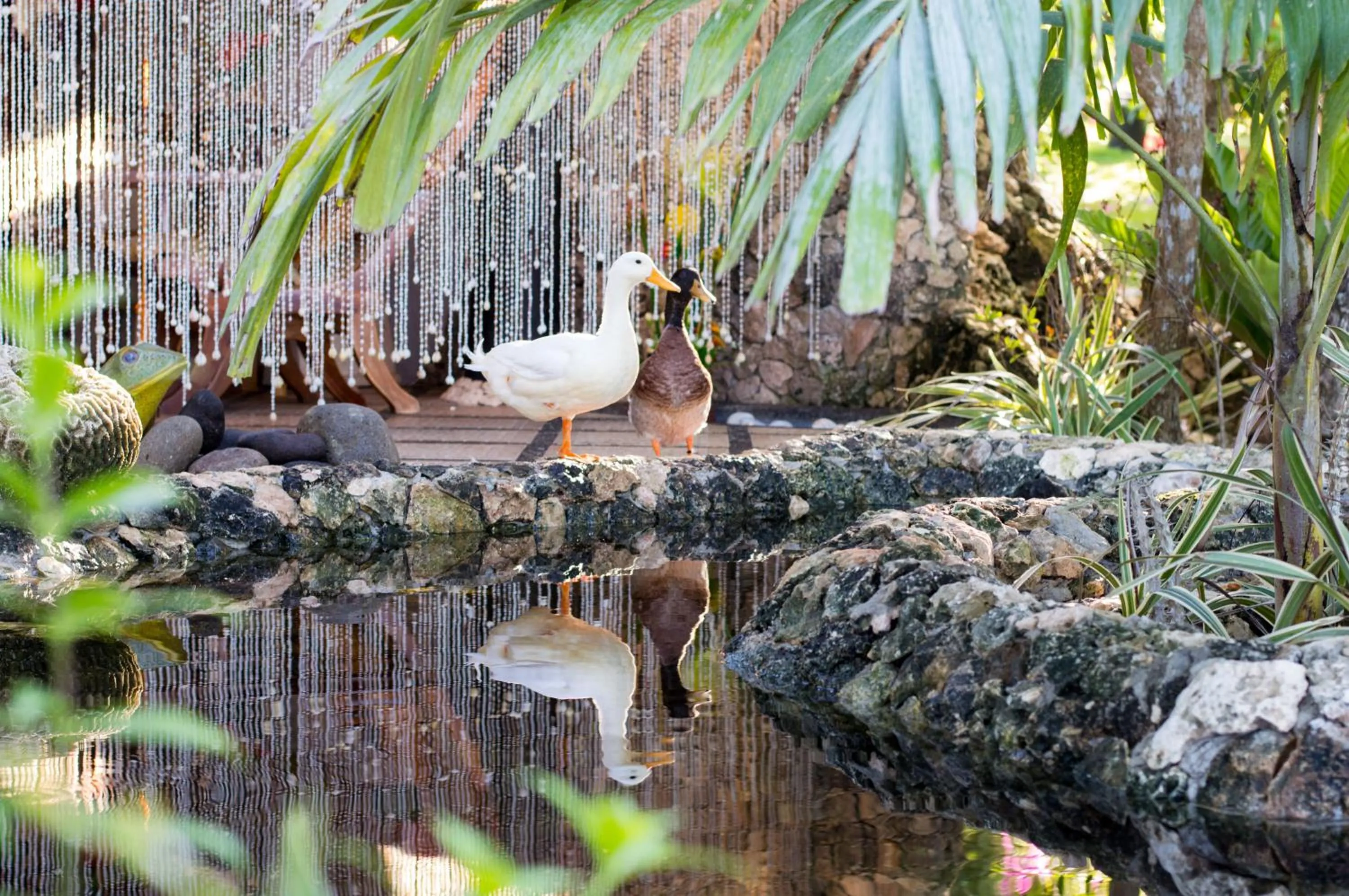 Decorative detail in Dolphin House Resort Moalboal