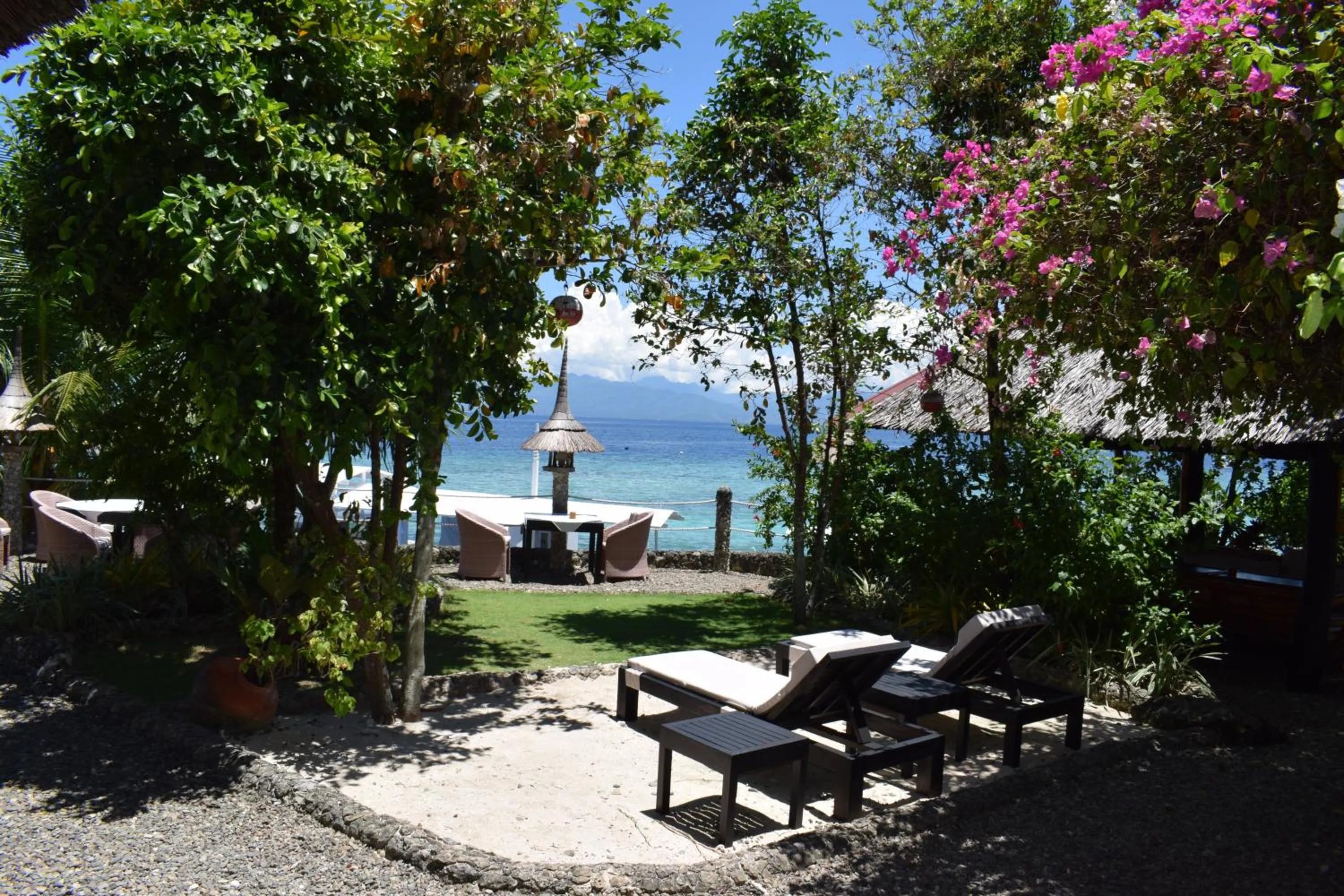 Garden in Dolphin House Resort Moalboal