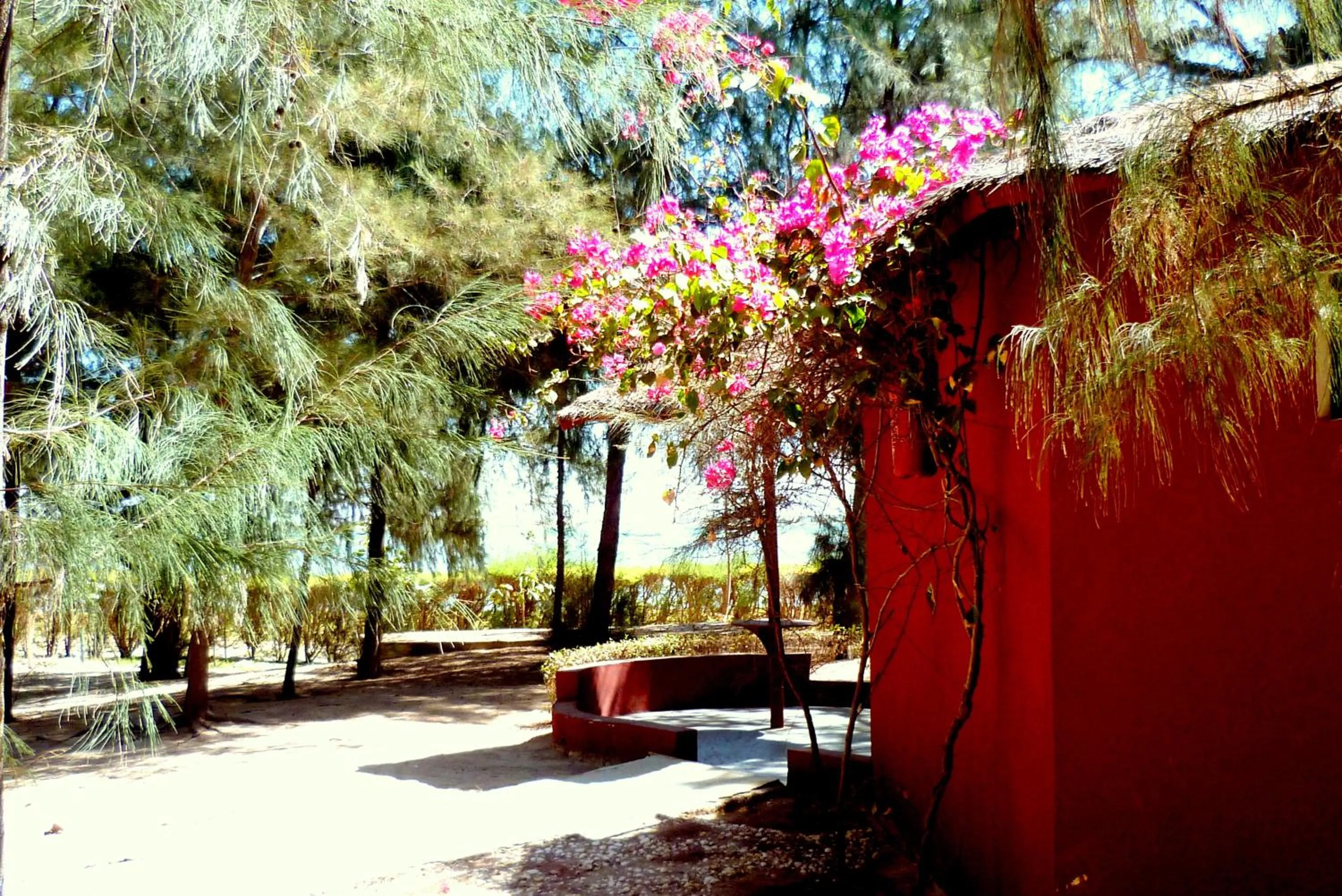 Area and facilities in Diamarek Hotel Sur La Plage