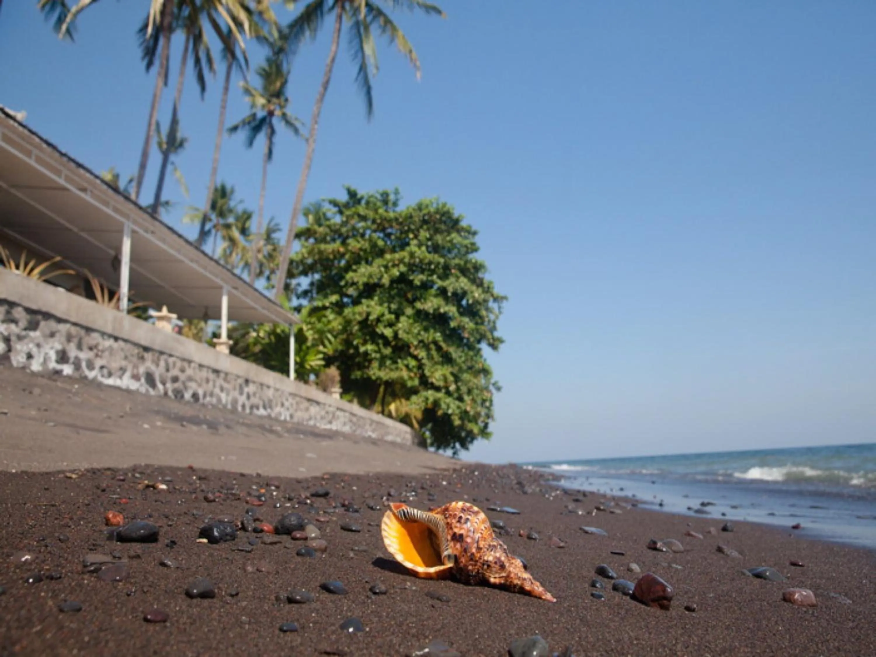 Beach in Bondalem Beach Club