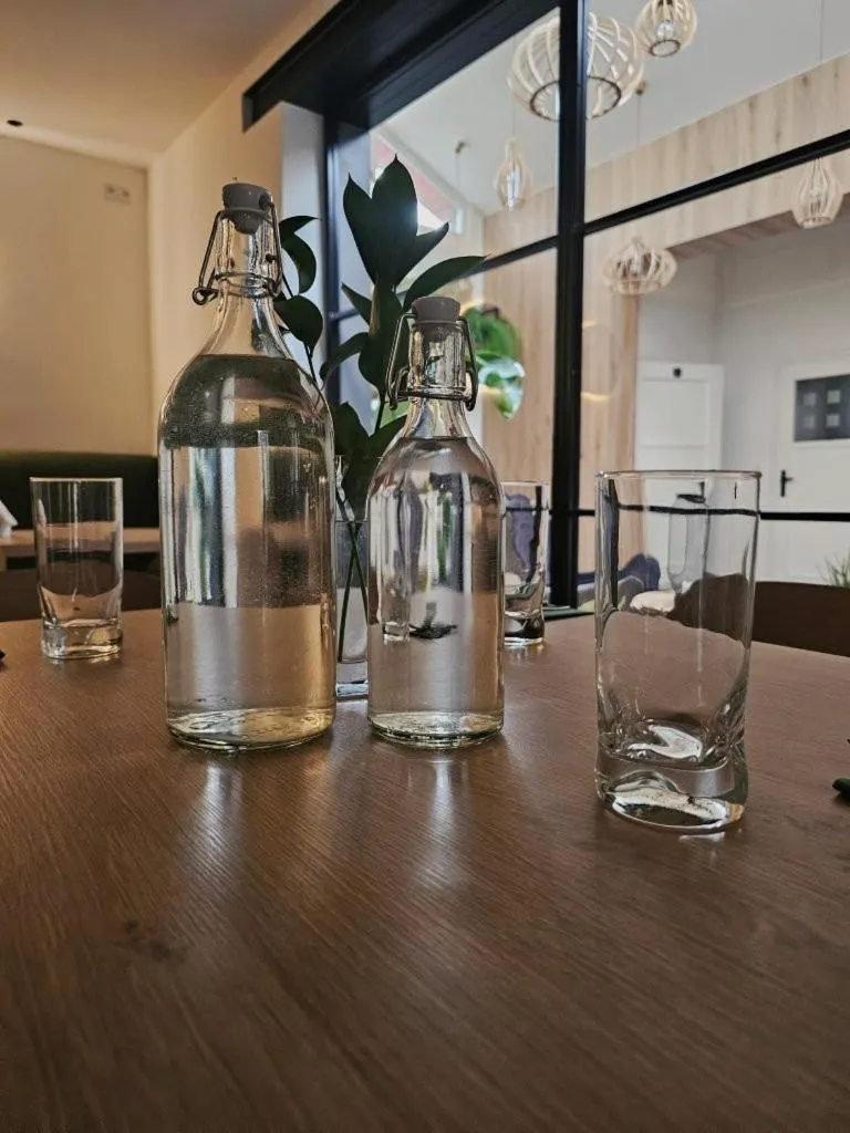 Restauracja i Noclegi Pod Kasztanami