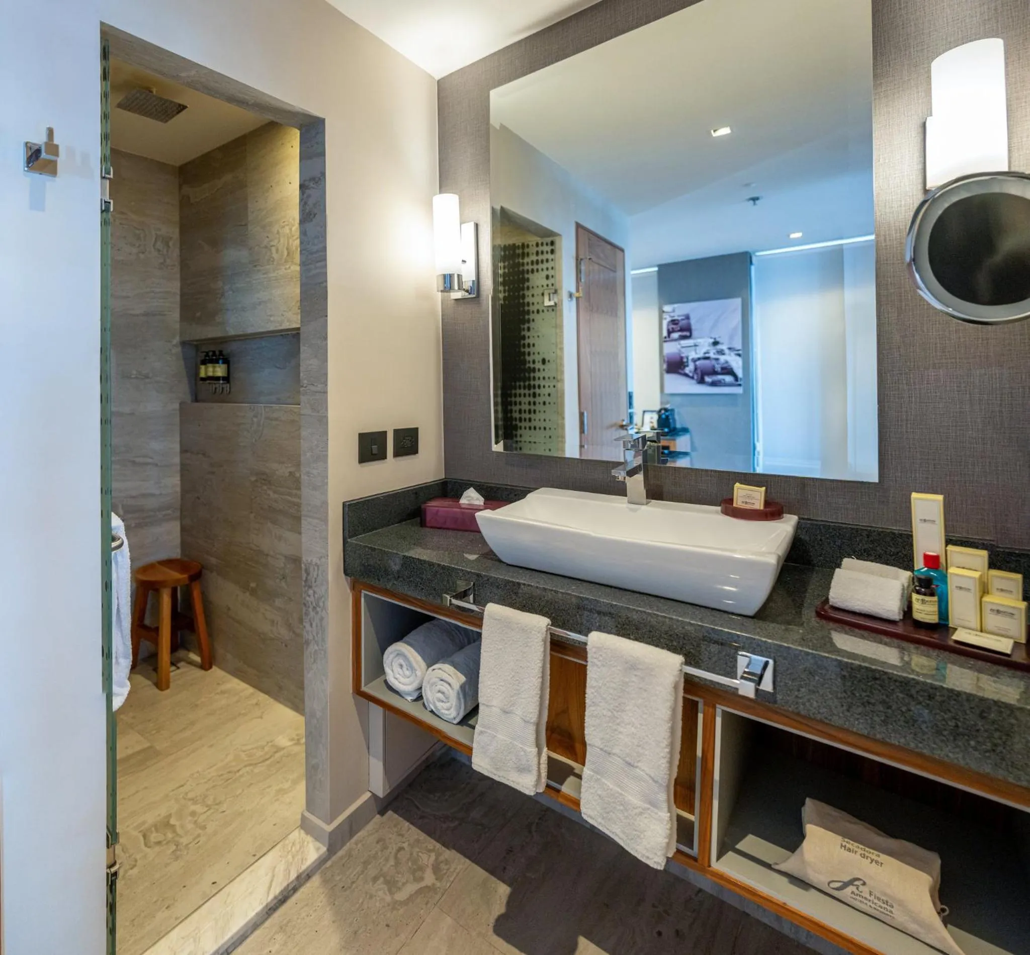 Other in Fiesta Americana Viaducto Aeropuerto