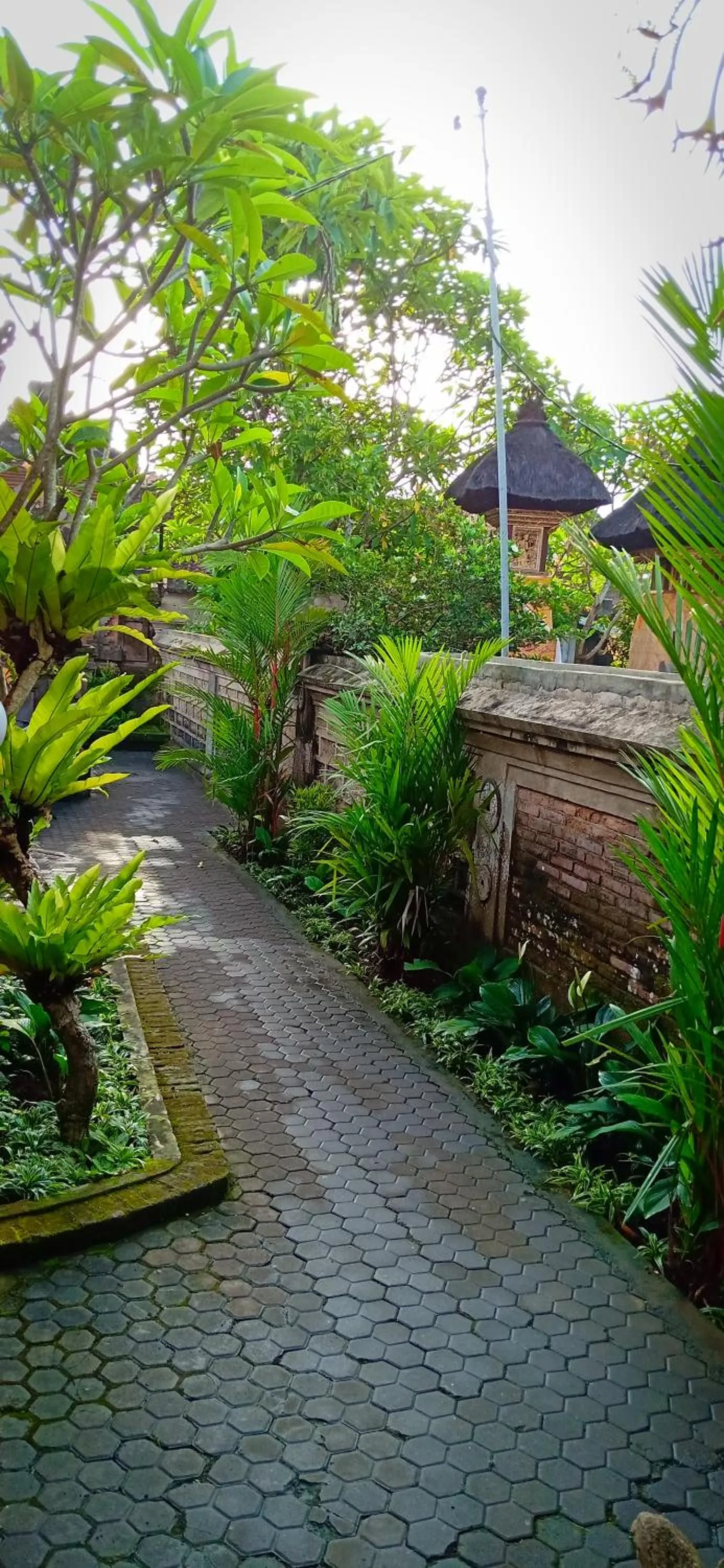 Secret Garden Sky