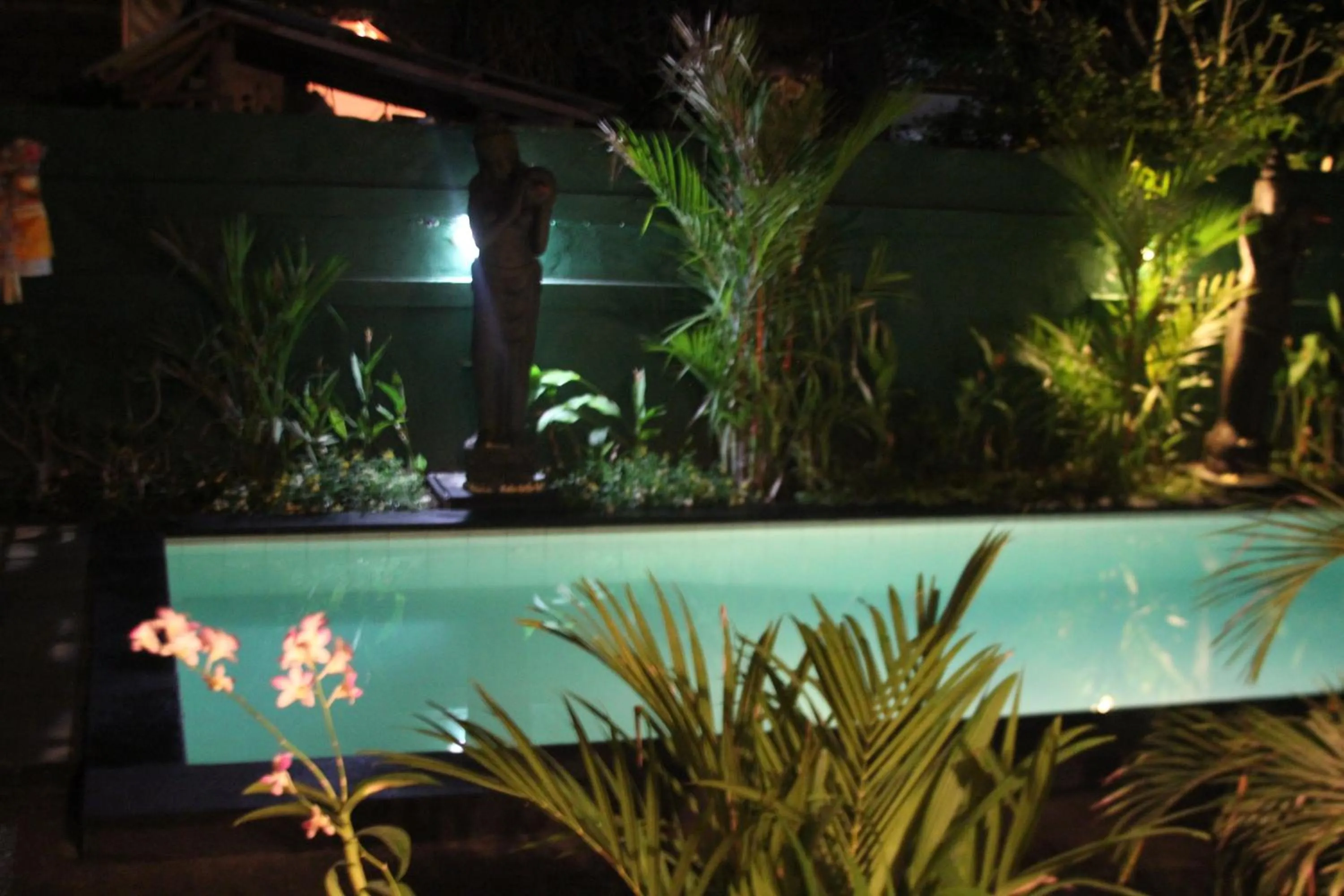 Night in Secret Garden Sky