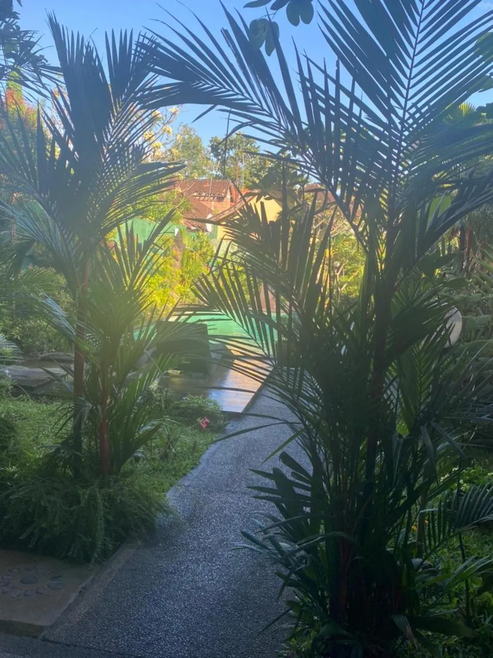 Swimming pool in Secret Garden Sky