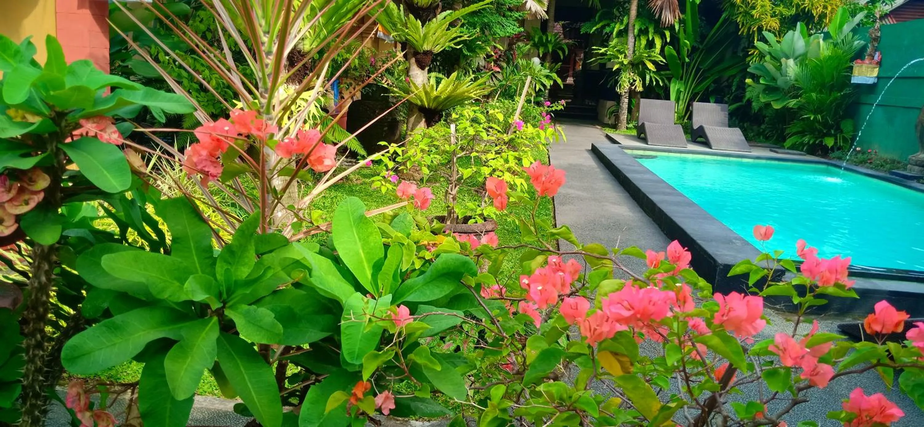 Swimming pool in Secret Garden Sky