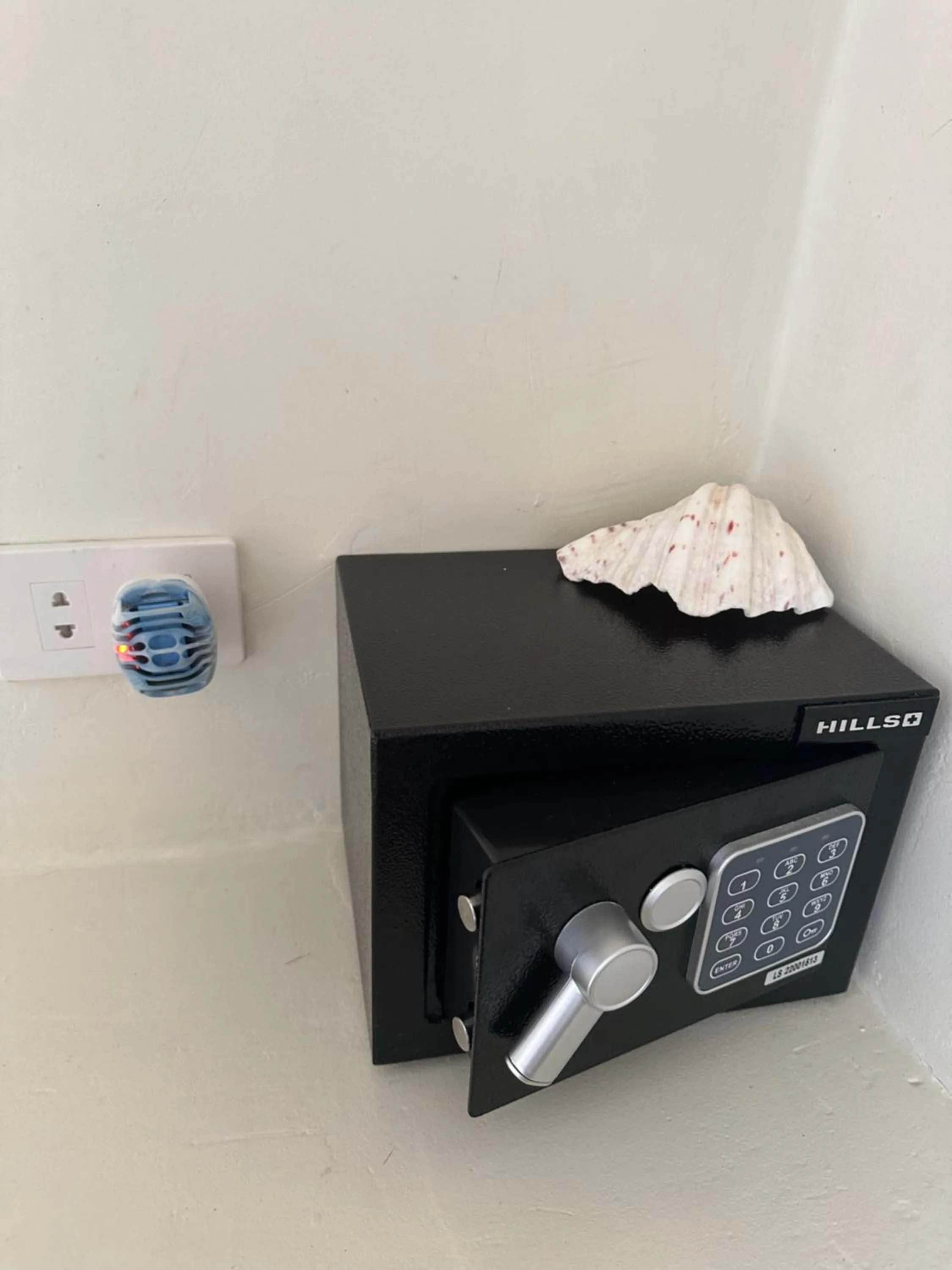 safe in Parrots Boutique Resort