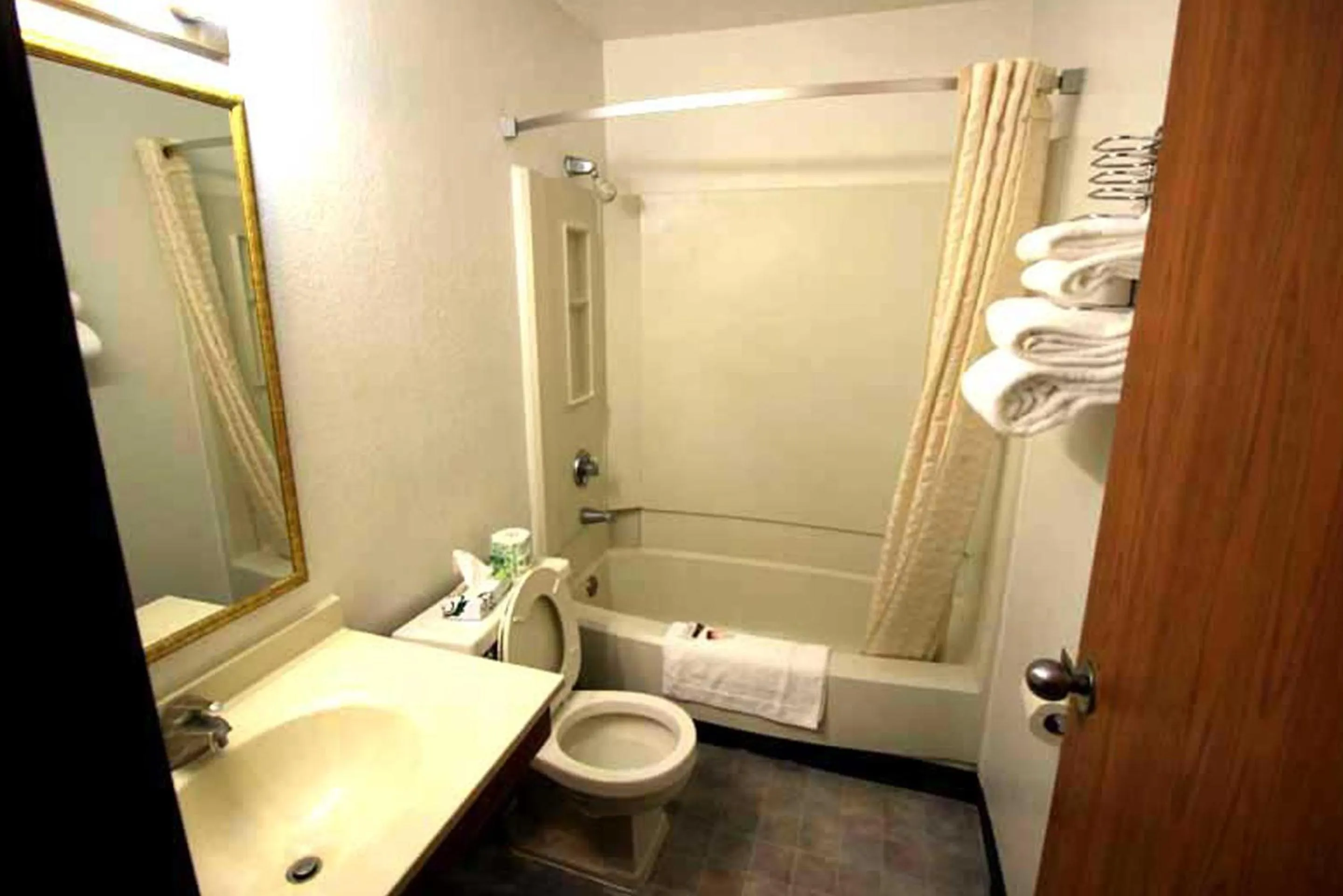 Toilet, Bathroom in Norwood Inn and Suites - Minneapolis-St Paul Roseville