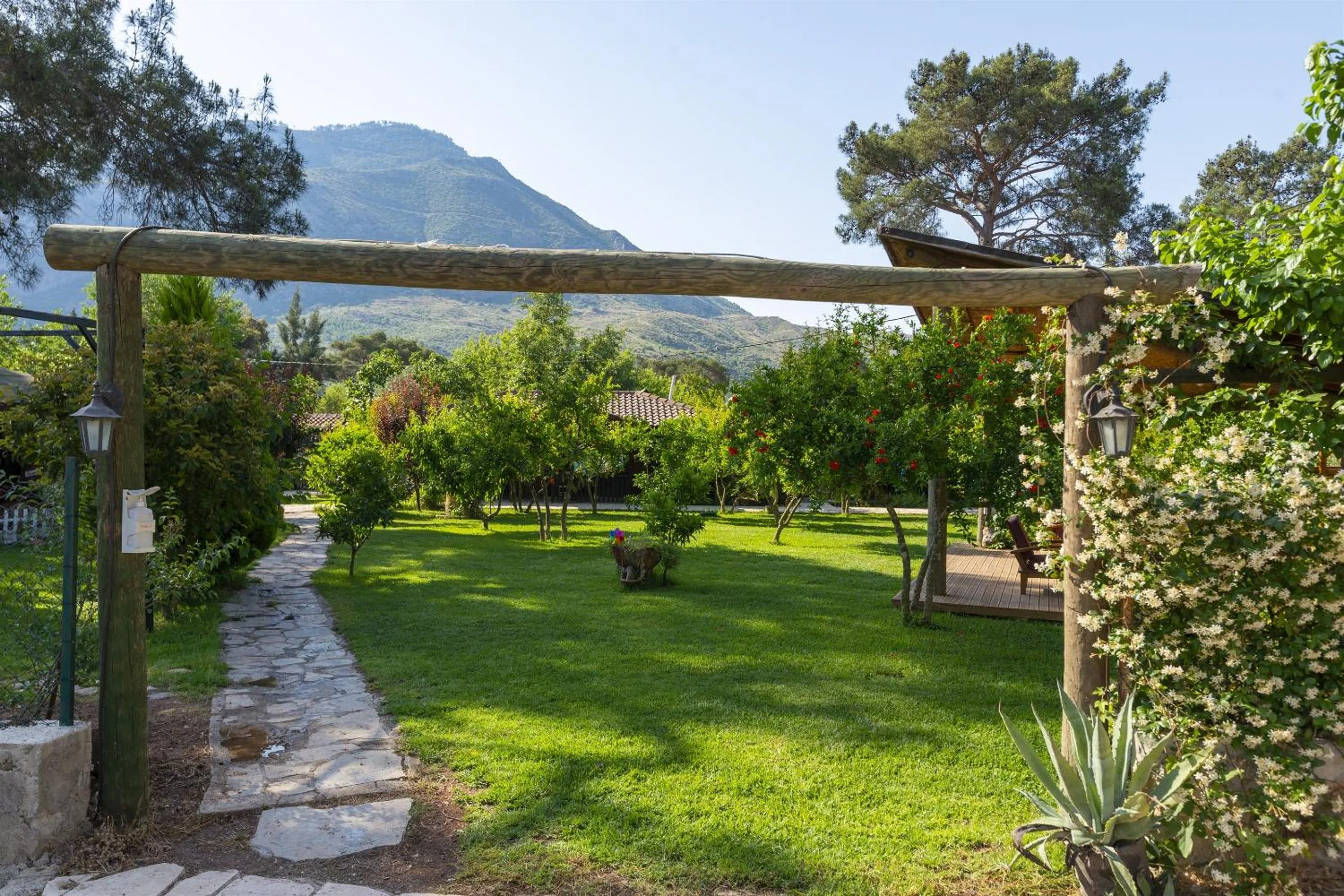 Day in Koala Bungalows