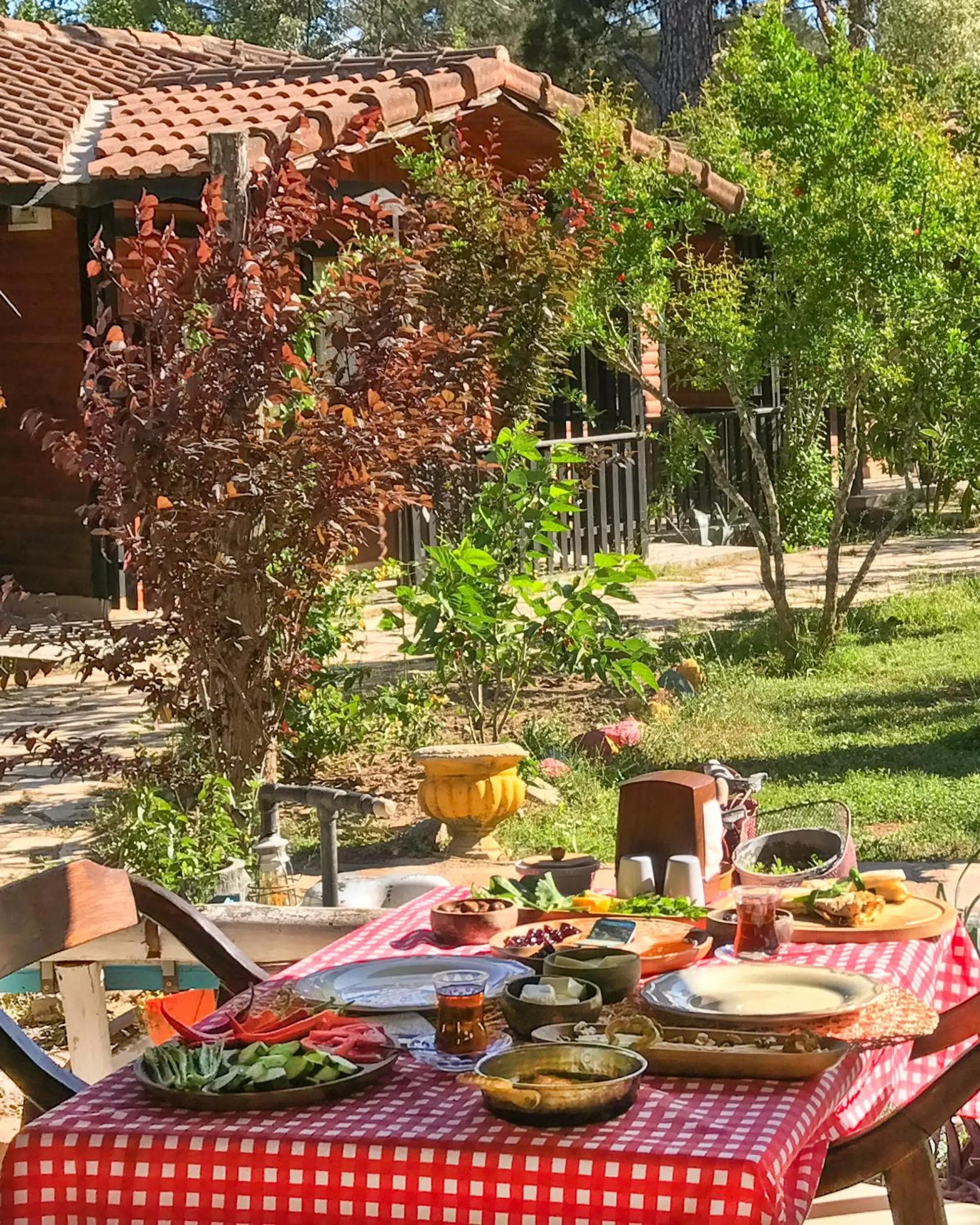 Food and drinks in Koala Bungalows