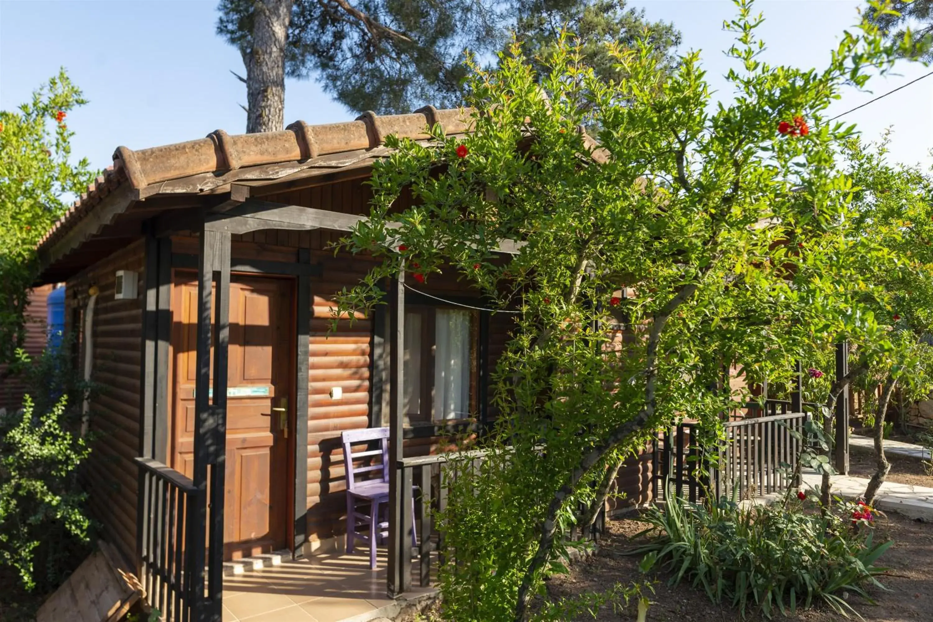 Standard Bungalow - single occupancy in Koala Bungalows Standard Bungalow - single occupancy in Koala Bungalows
