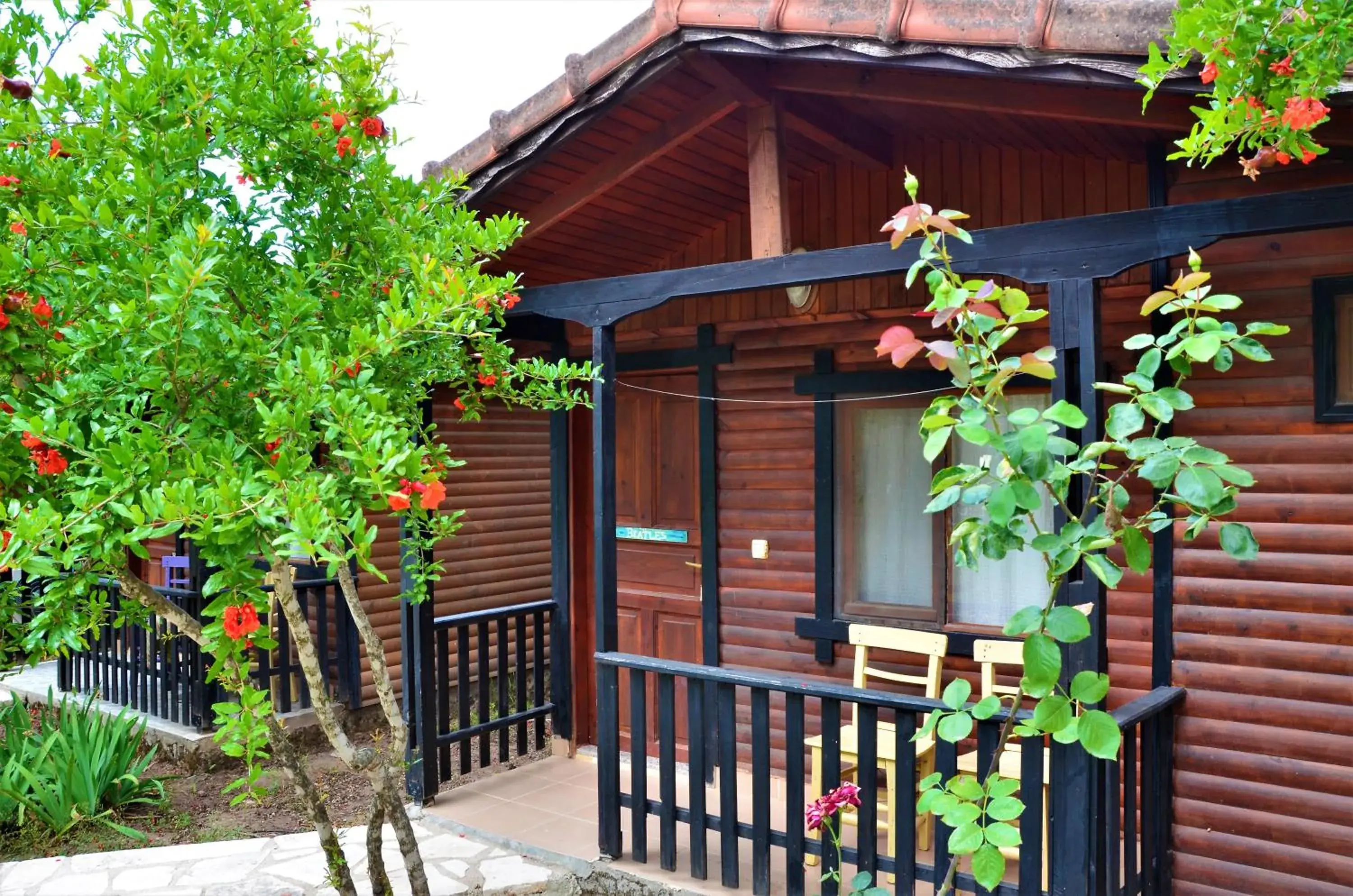 Standard Bungalow - single occupancy in Koala Bungalows Standard Bungalow - single occupancy in Koala Bungalows