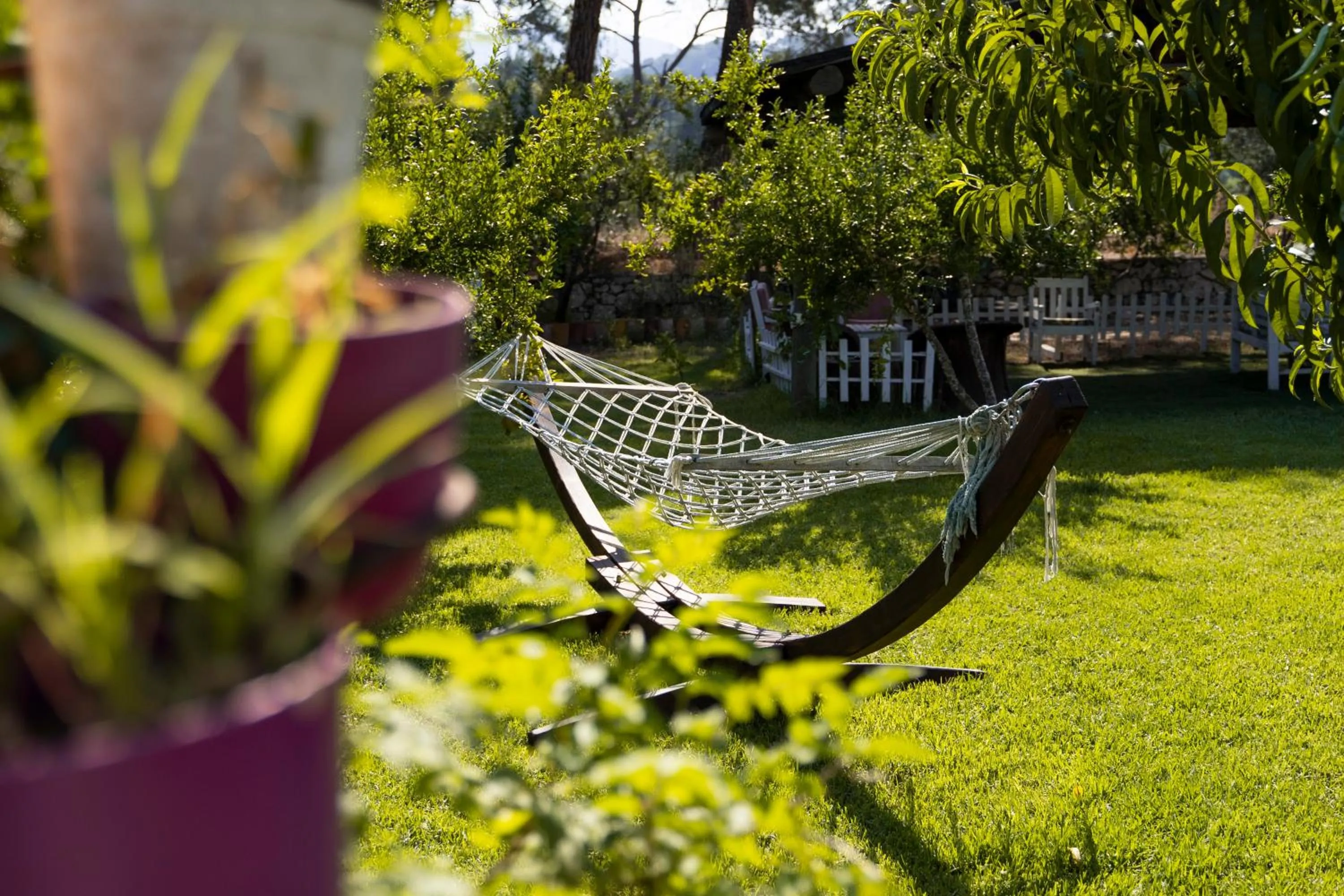 Day in Koala Bungalows