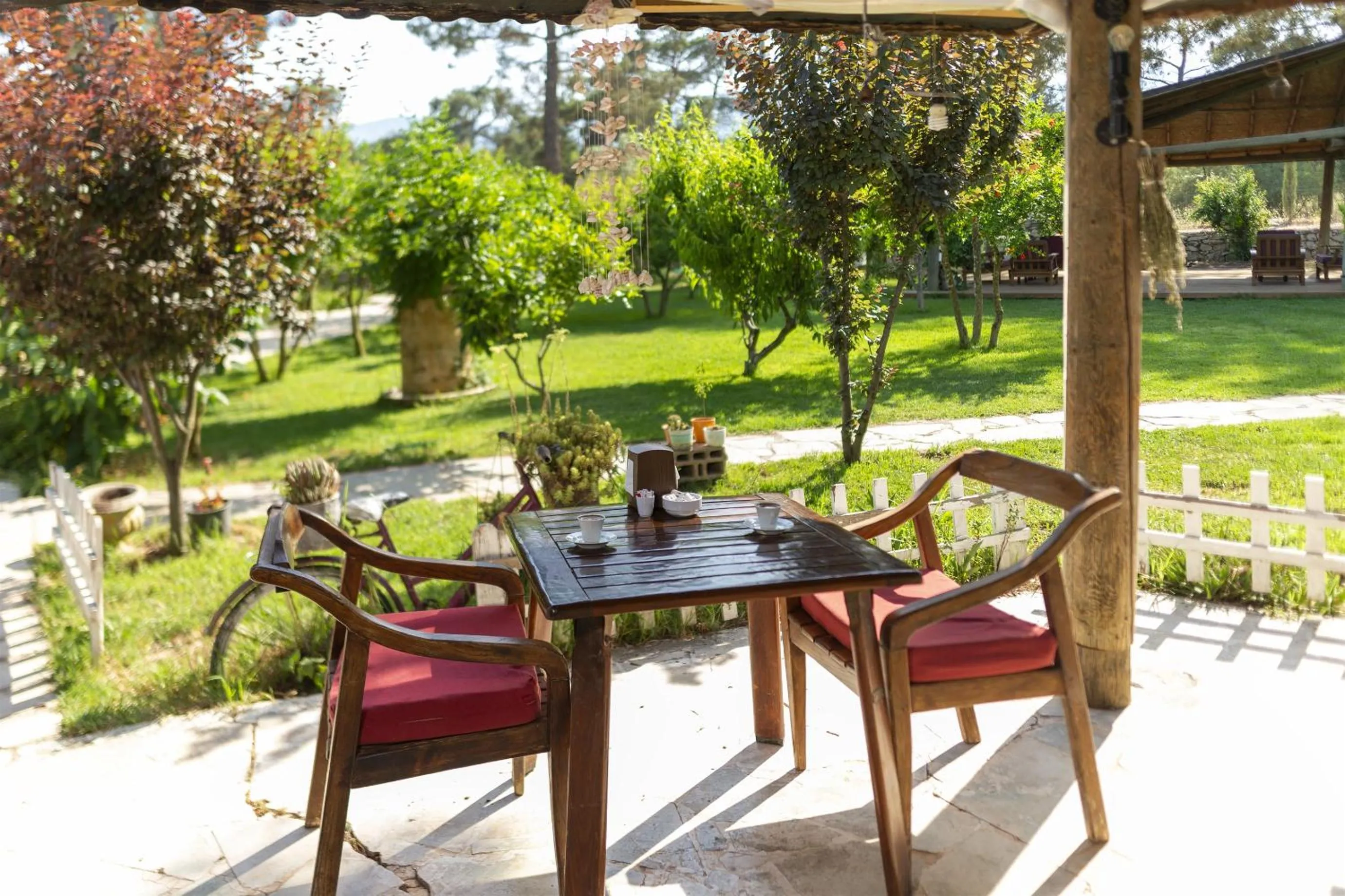 Day in Koala Bungalows