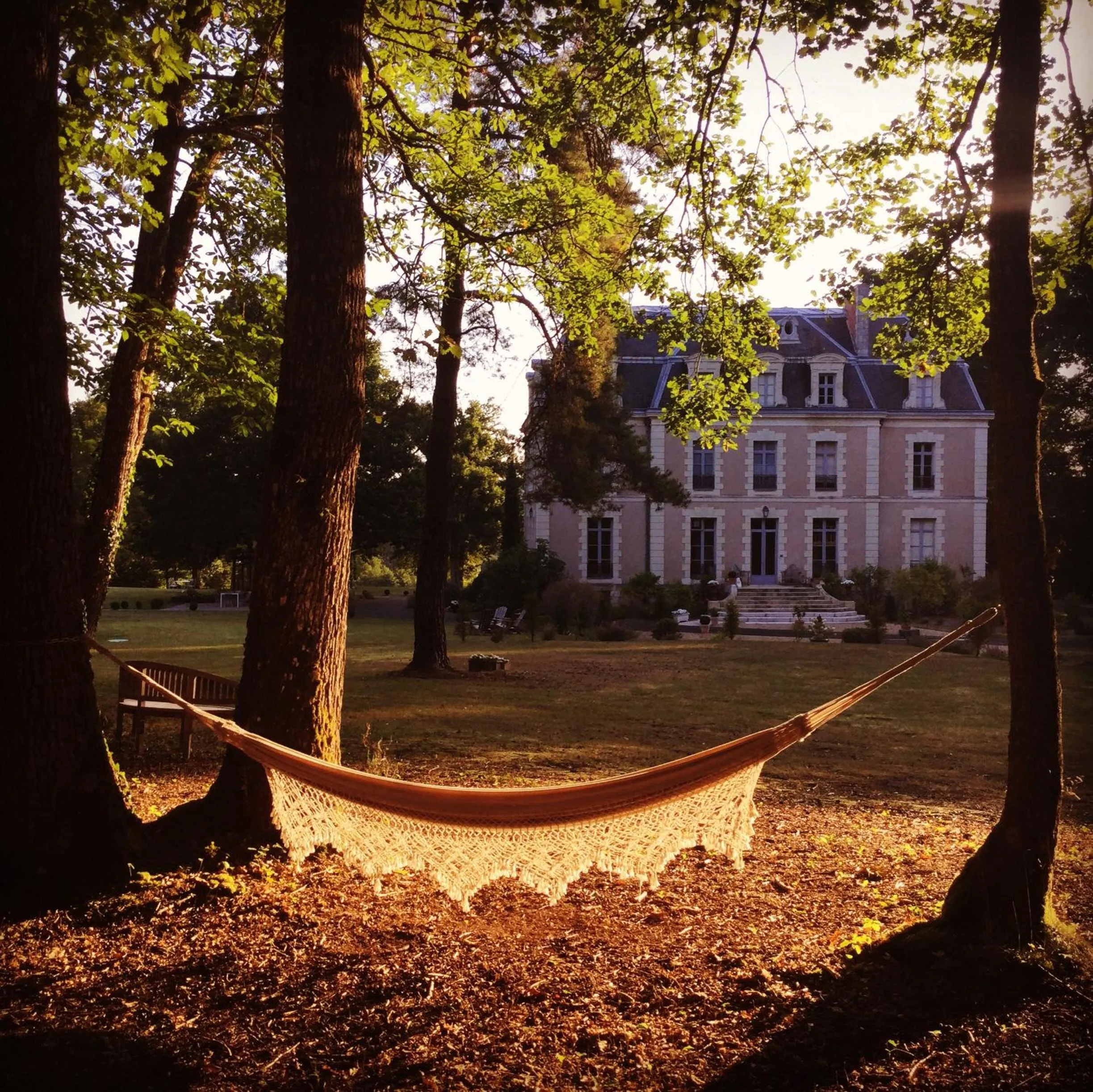 View (from property/room) in Château des Essards avec piscine et jacuzzi