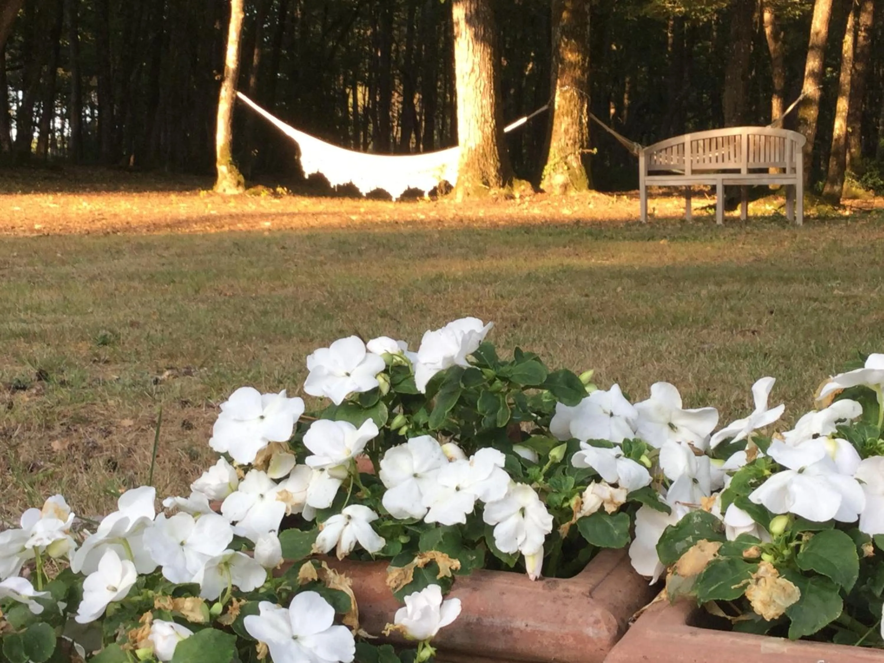 Garden in Château des Essards avec piscine et jacuzzi