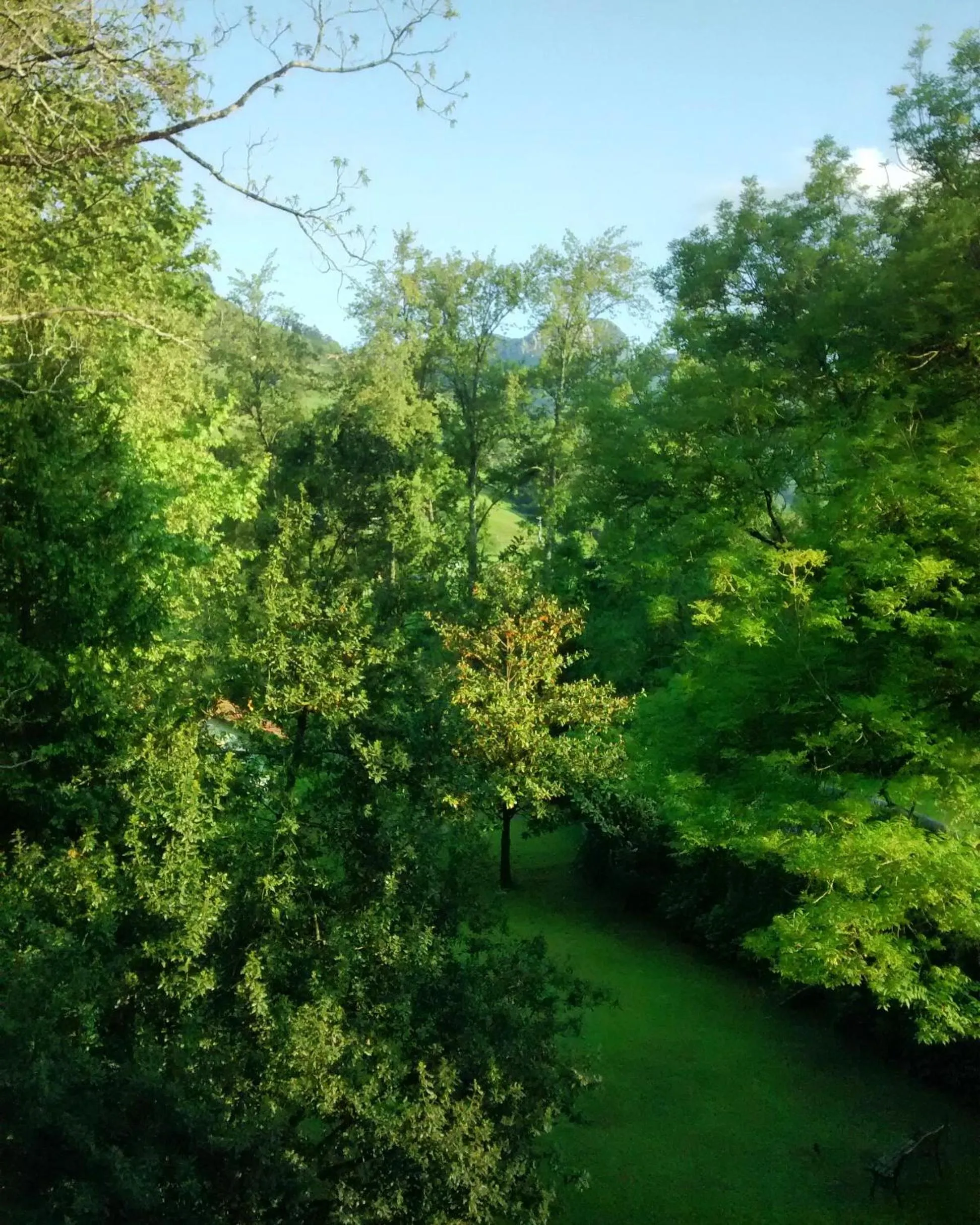 Garden view in Hotel Casona El Arral