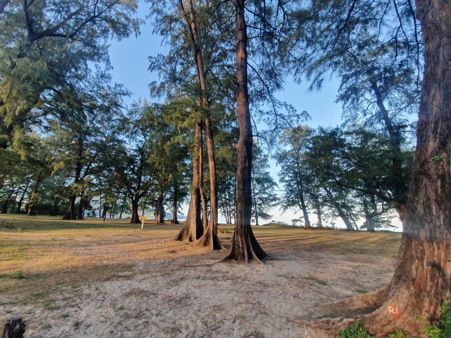 Beach in Atom Phuket Hotel