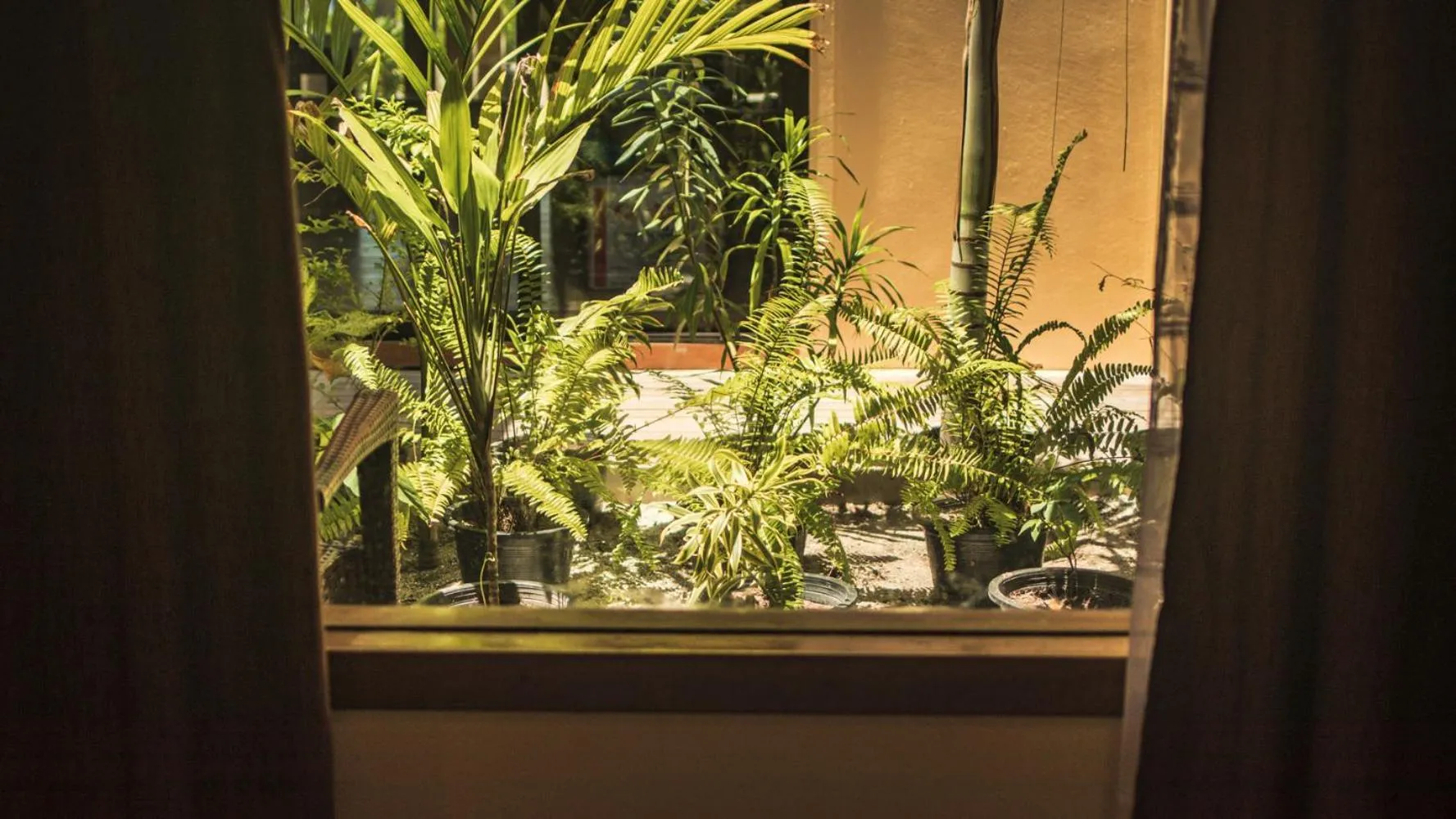 Endheri Sunset Dhangethi