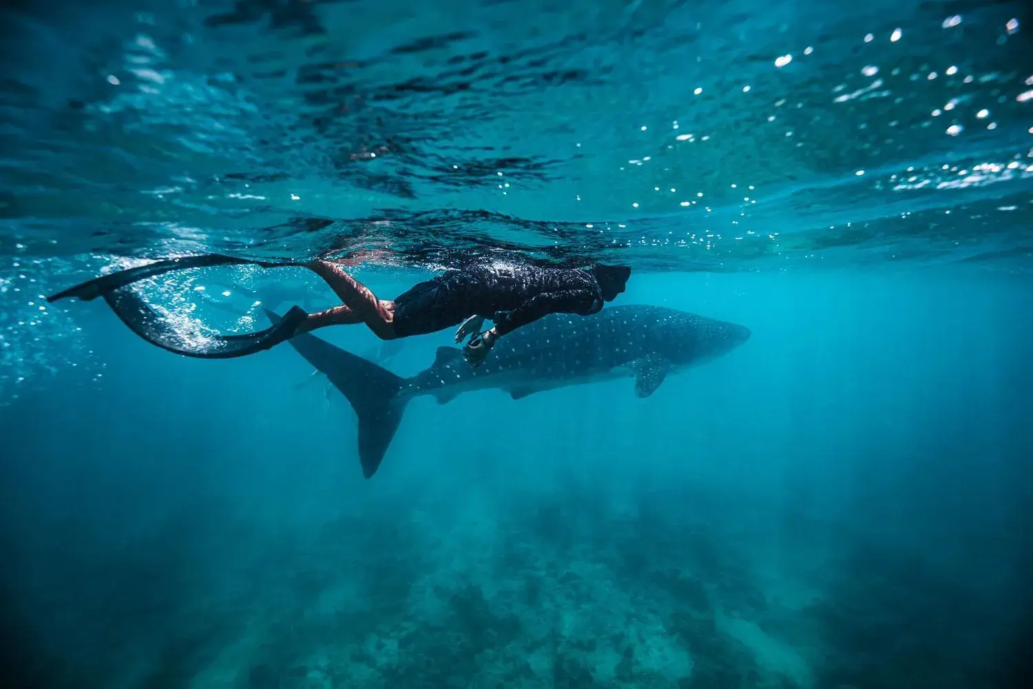 Property building in Endheri Sunset Dhangethi Property building in Endheri Sunset Dhangethi