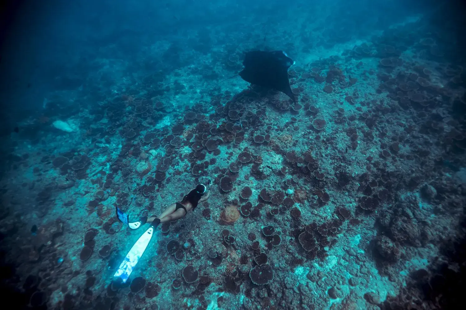 Property building in Endheri Sunset Dhangethi Property building in Endheri Sunset Dhangethi