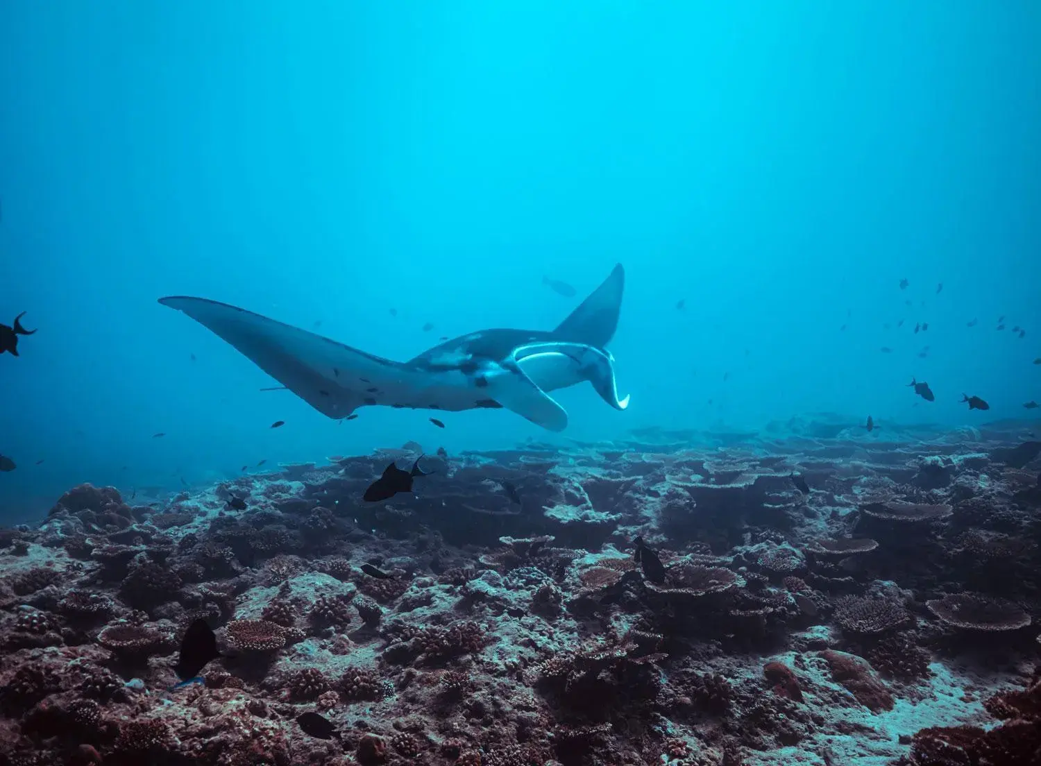 Property building in Endheri Sunset Dhangethi Property building in Endheri Sunset Dhangethi